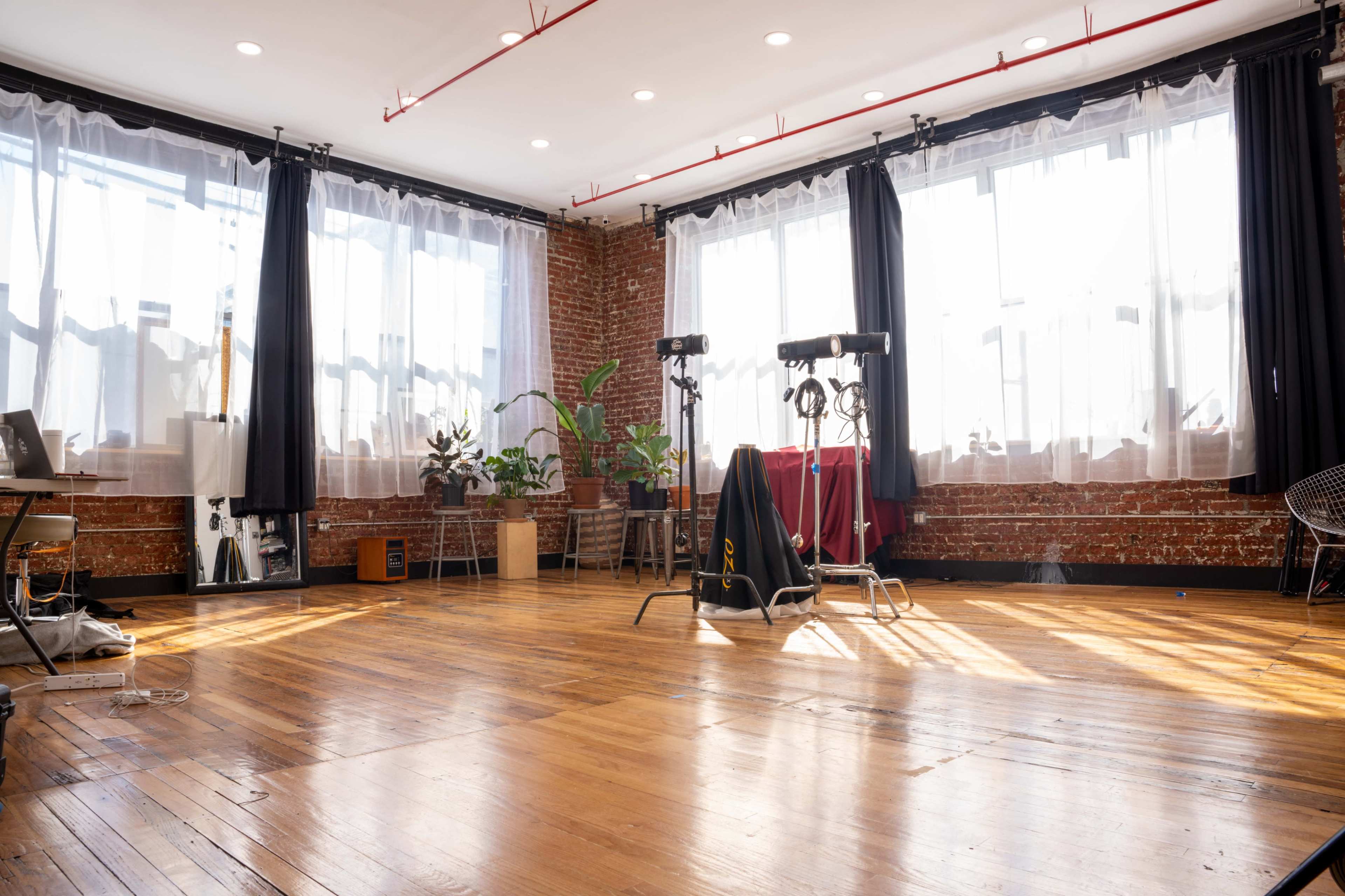 A spacious studio features large windows with sheer curtains, wooden flooring, and various plants along with equipment set up in a well-lit environment.