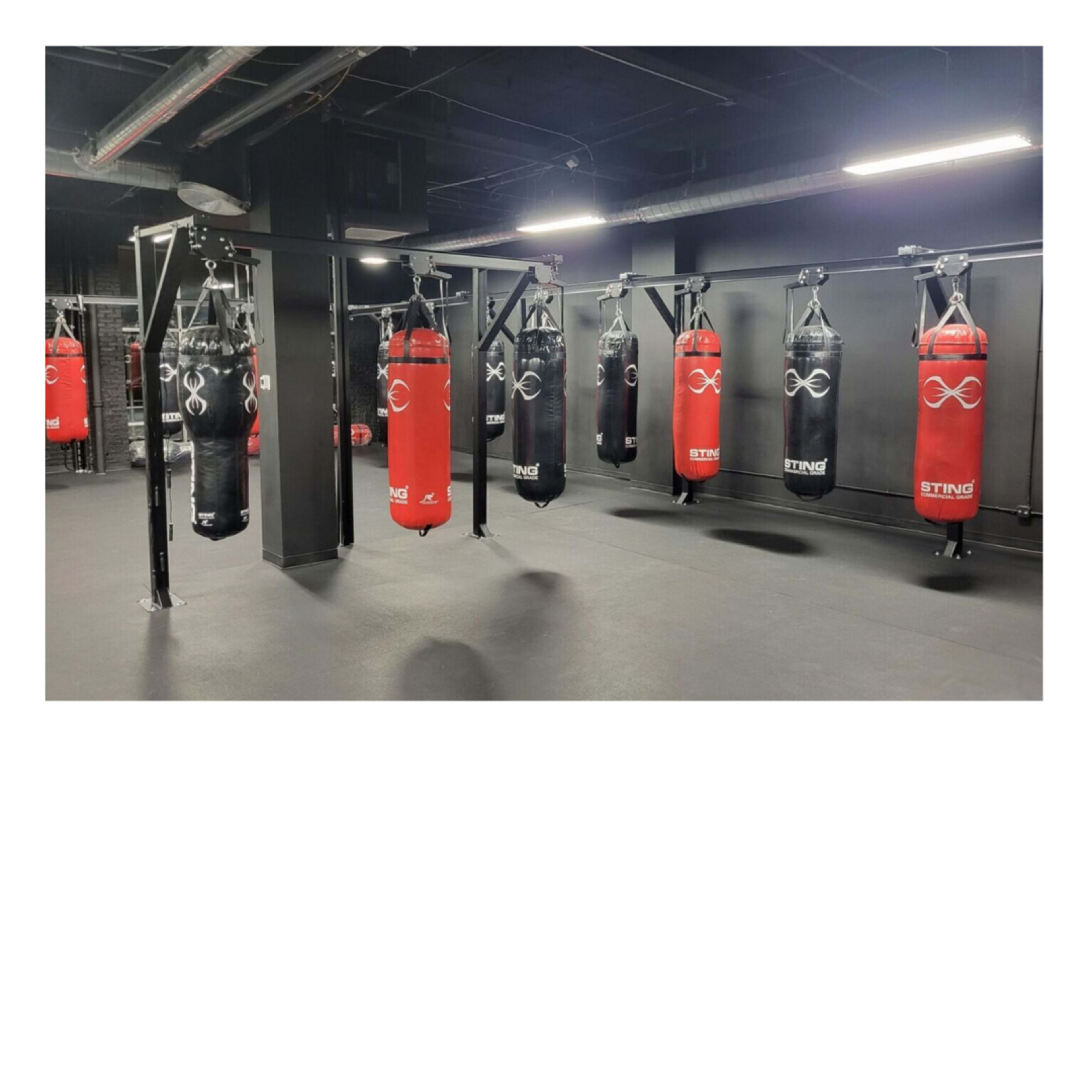 Boxing Gym Long Island City Image in Astoria, Long Island City, NY