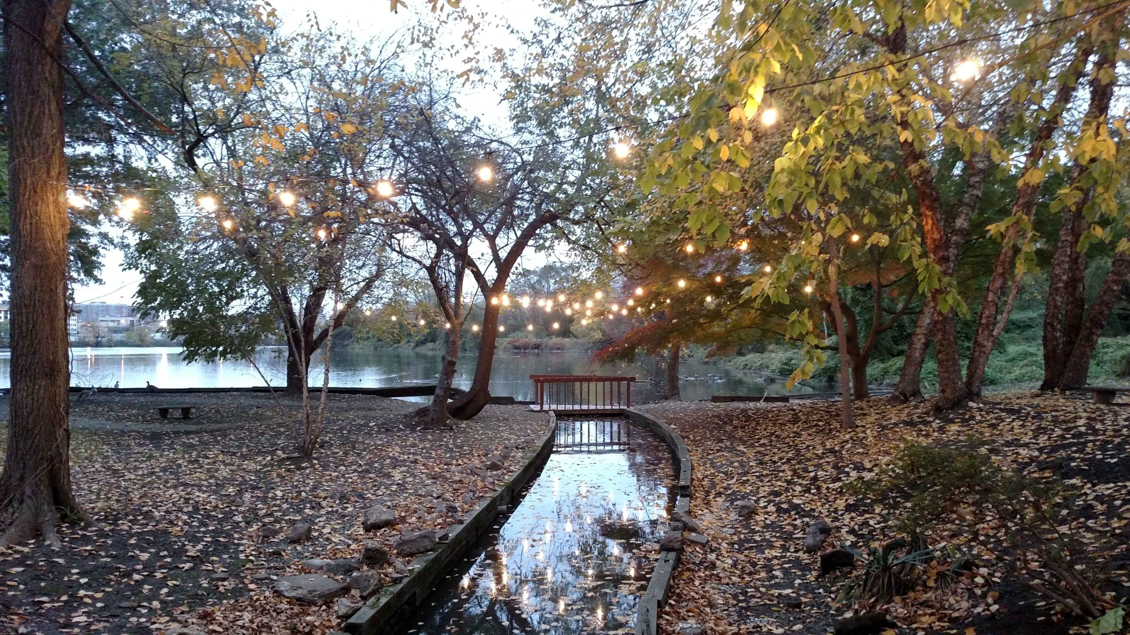 A path lined with water leads through a park adorned with hanging lights above, surrounded by trees with autumn foliage.