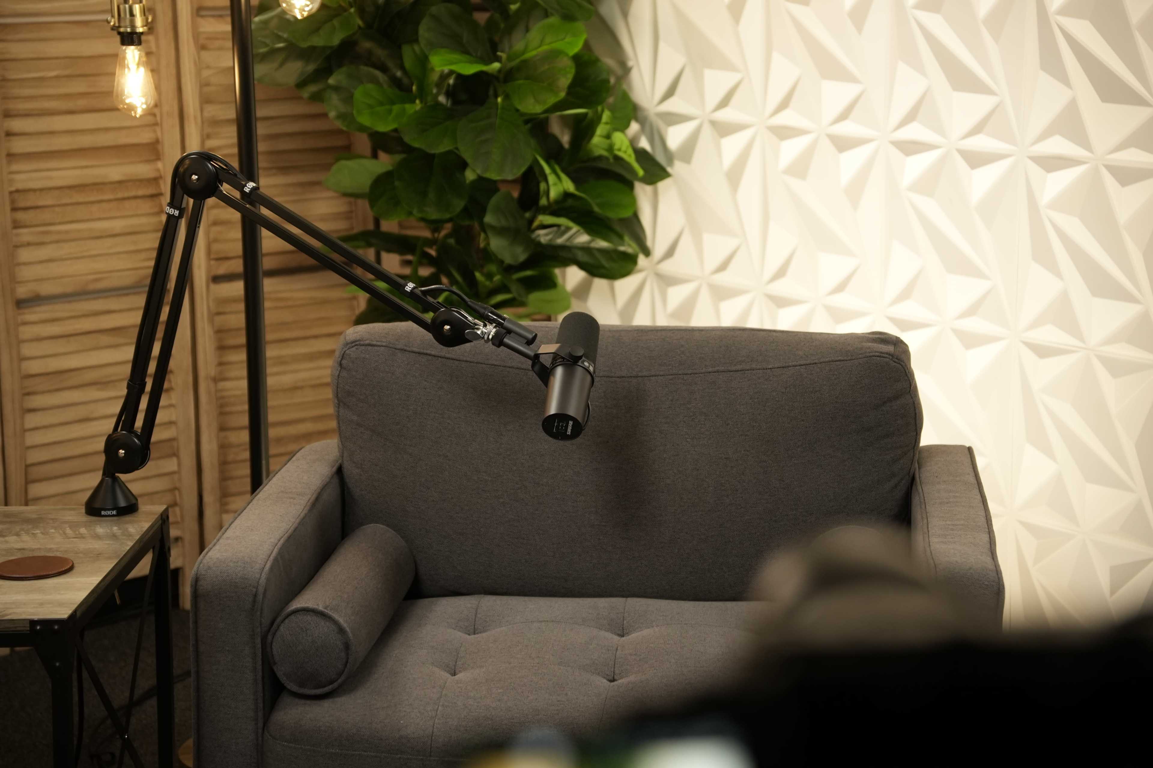 The image shows a gray upholstered armchair with an adjustable microphone on a stand positioned beside it, set against a textured white wall and greenery in the background.