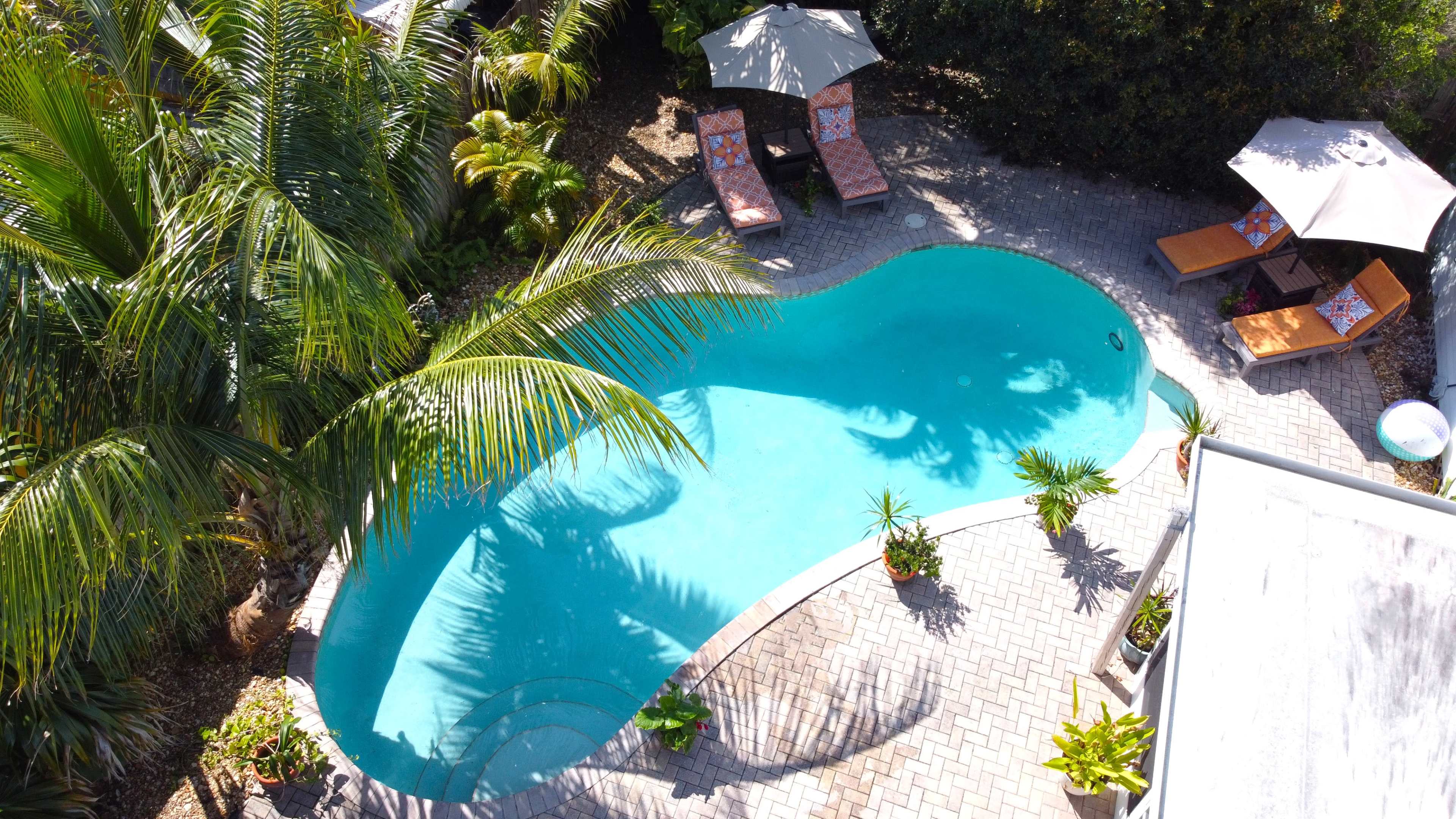 The image shows a swimming pool surrounded by palm trees and lounge chairs in a landscaped outdoor setting.