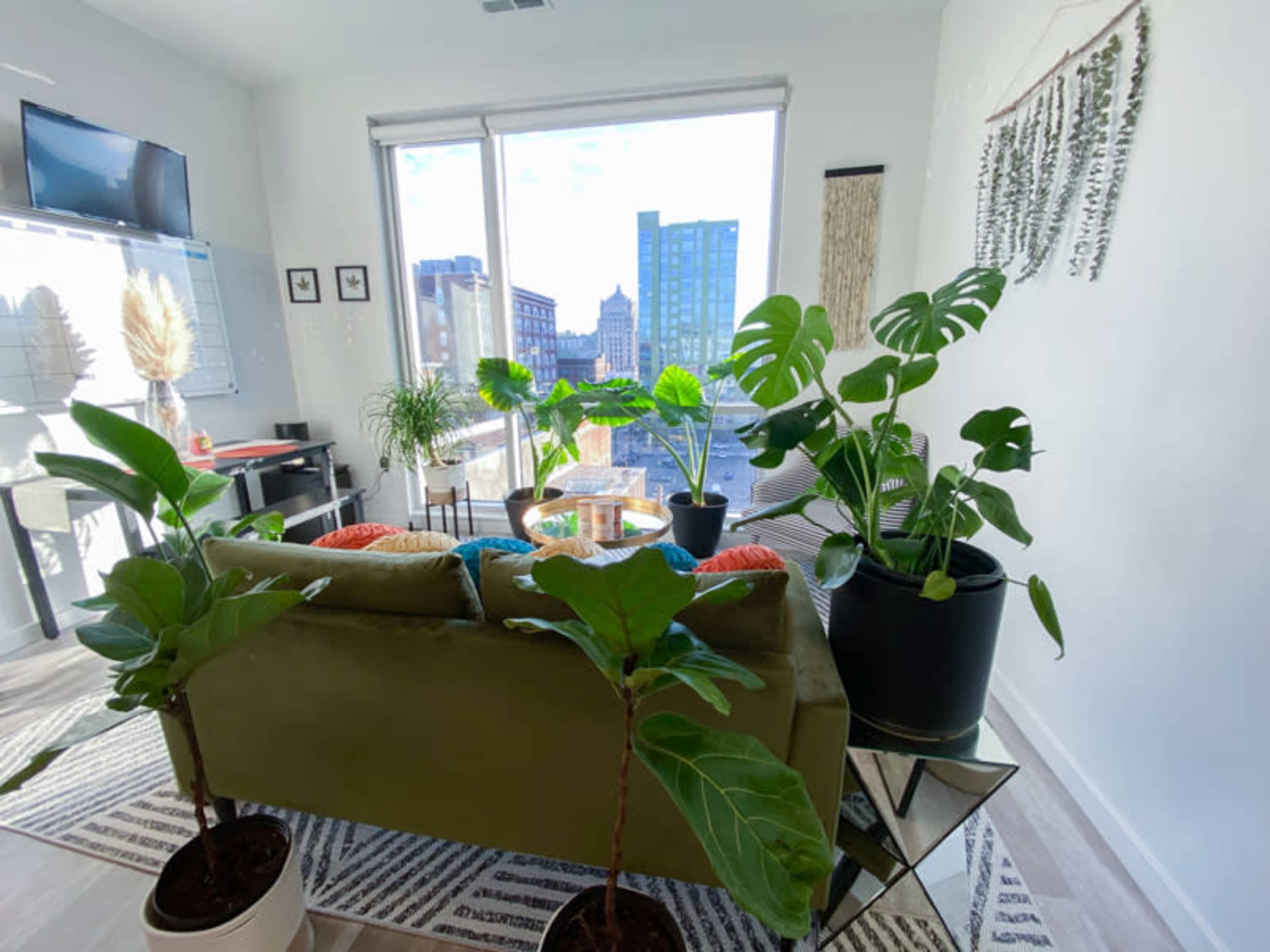A living room features a green couch surrounded by potted plants, large windows offering a city view, and decorative cushions on the sofa.