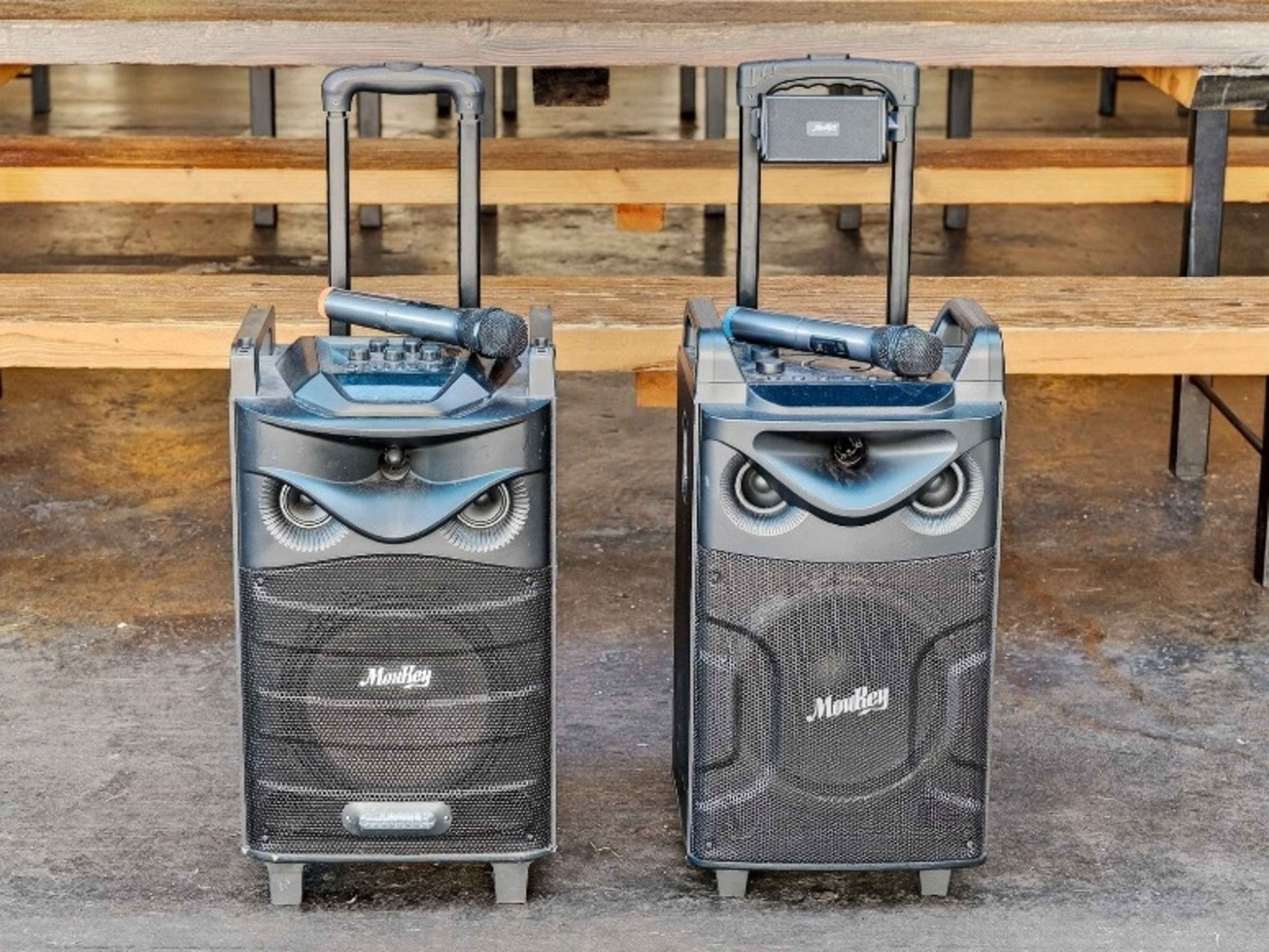 Portable PA system with Mic