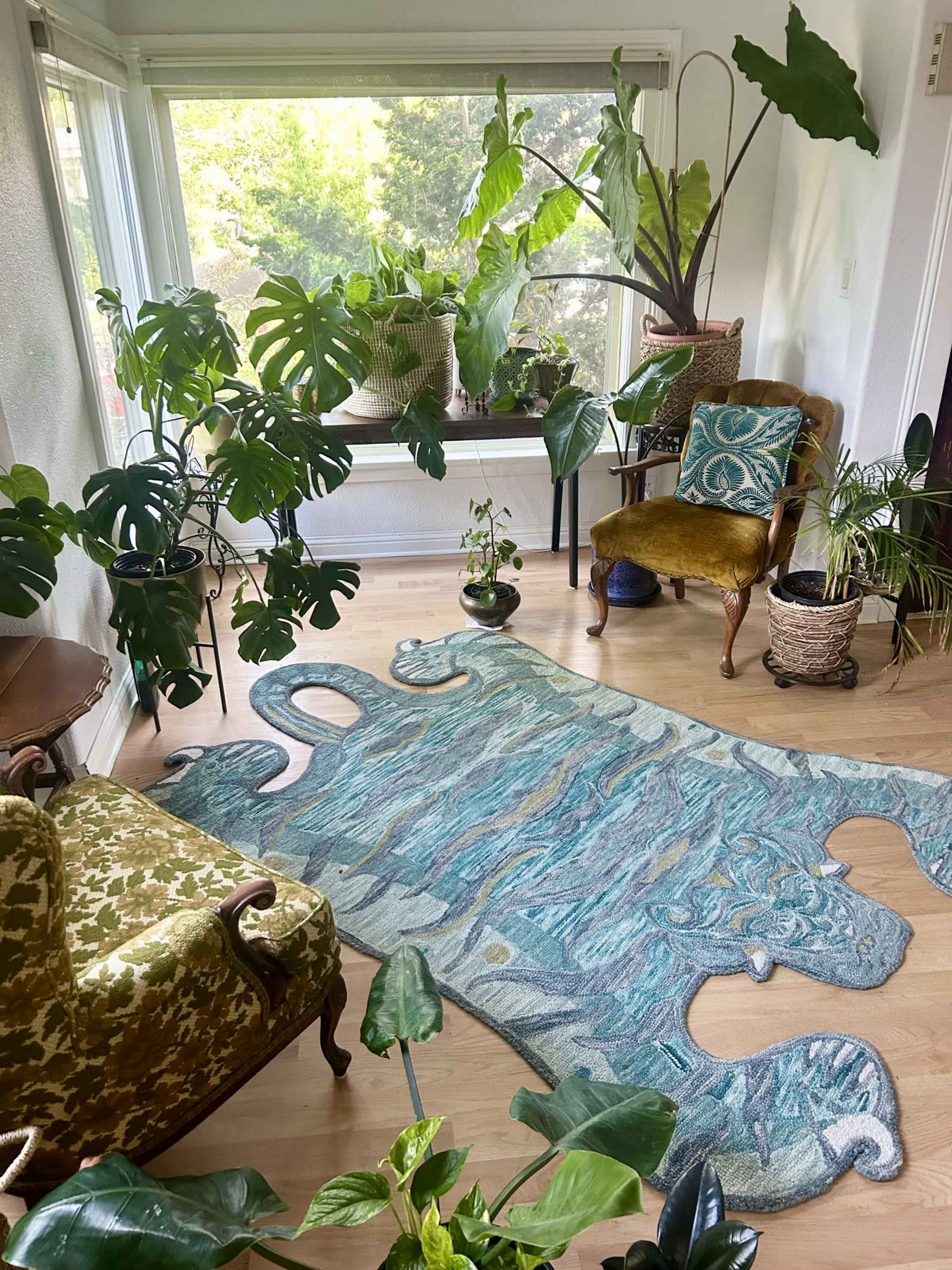 A sunlit corner of a room features various indoor plants, a patterned rug, and two chairs, creating a vibrant and inviting space.