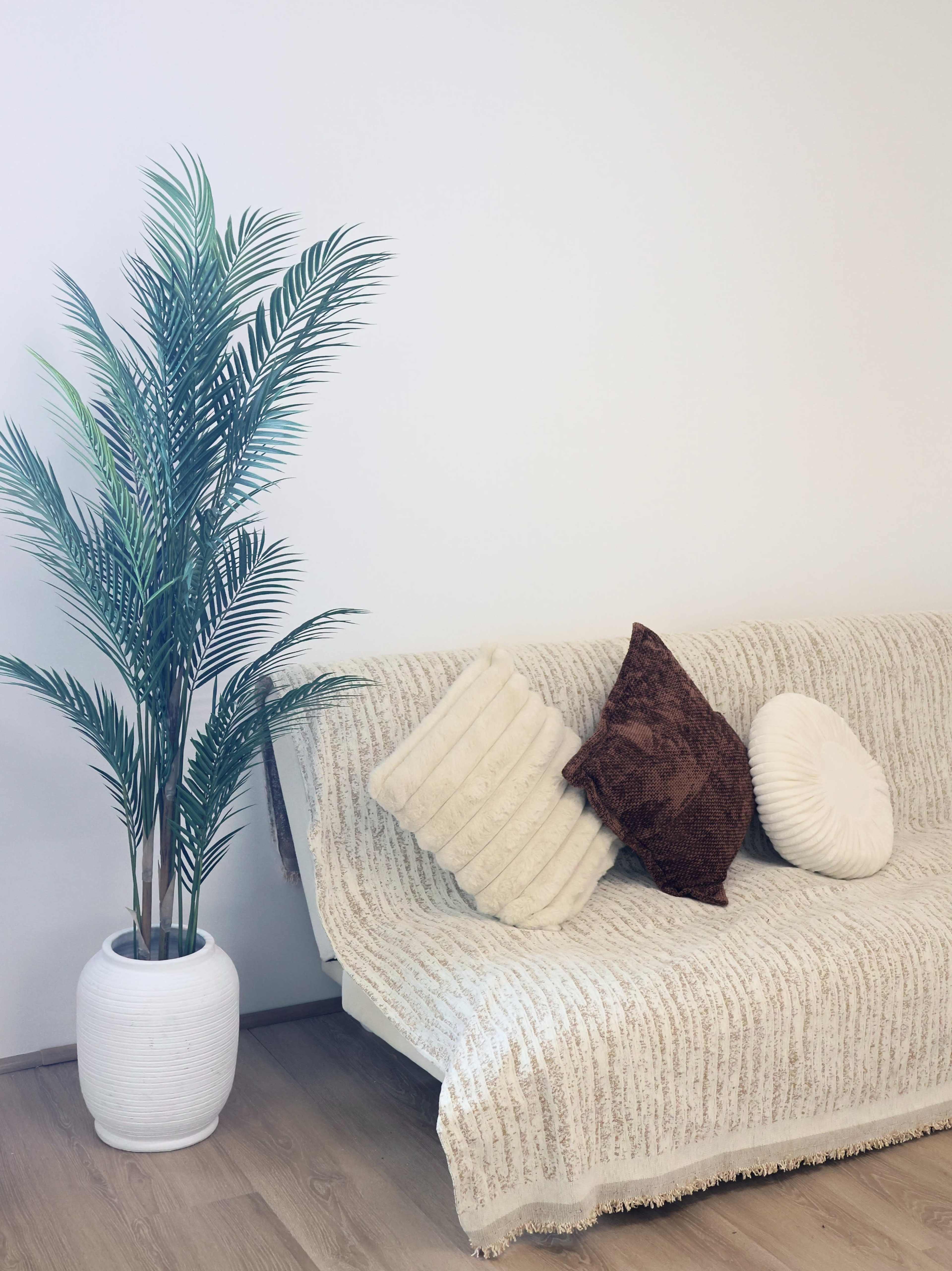 The image shows a cozy living room scene featuring a light-colored sofa adorned with decorative pillows and a potted palm plant beside it.