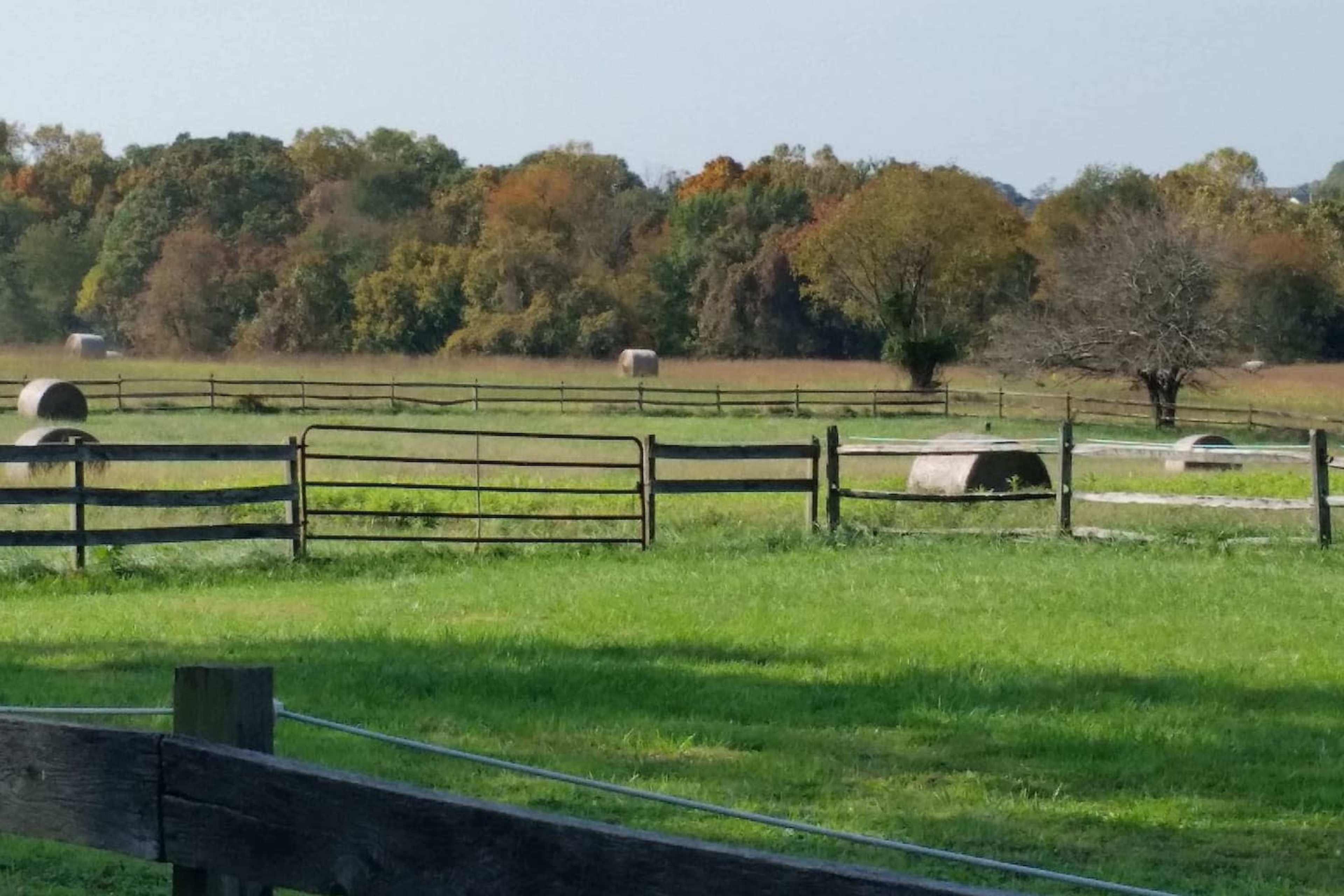 A rural landscape with round hay bales scattered across a green field, surrounded by wooden fencing and trees in the background.