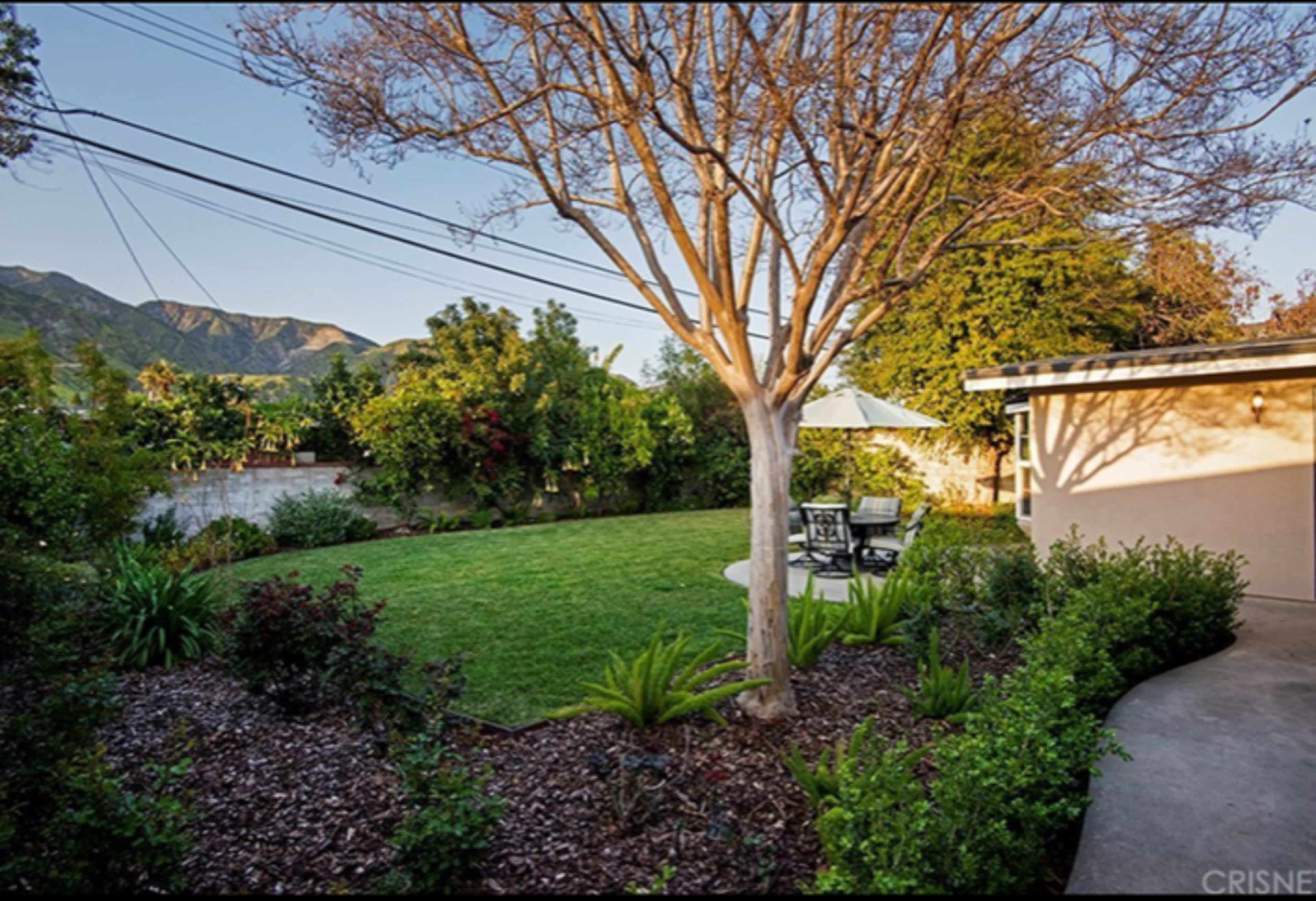 A backyard scene features a tree and a small patio set surrounded by greenery, with mountains visible in the background.