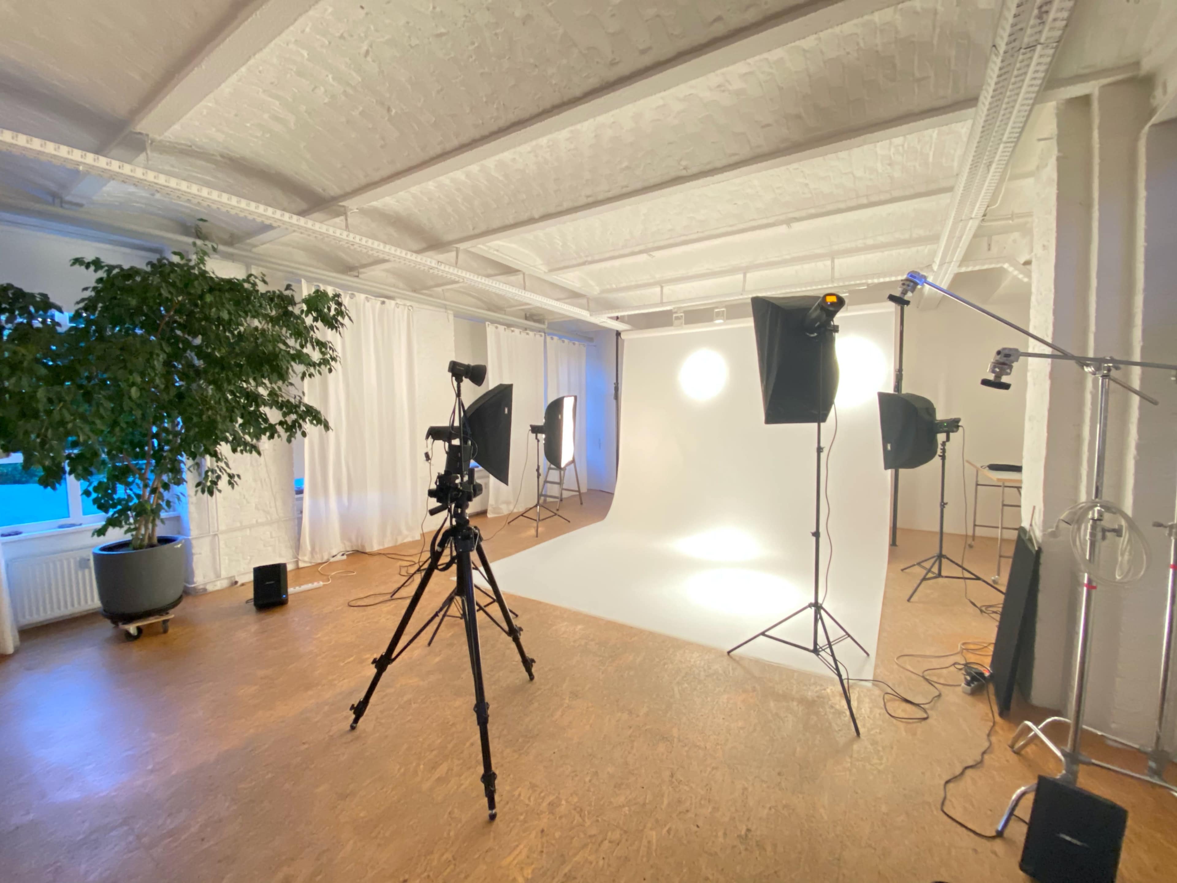 A studio space features a white backdrop with lighting equipment, a camera on a tripod, and a large potted plant in the corner.