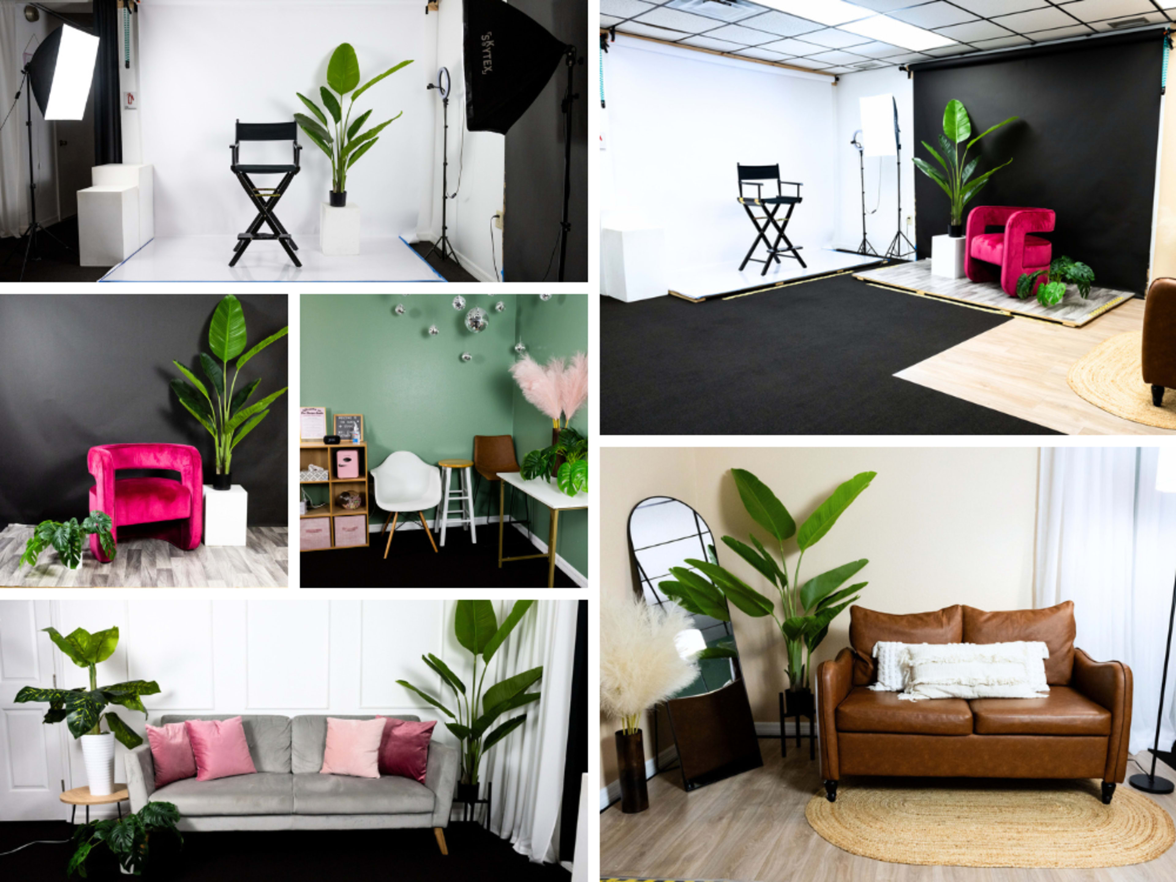 The image features various studio setups, each showcasing different seating arrangements and large decorative plants against contrasting backgrounds.