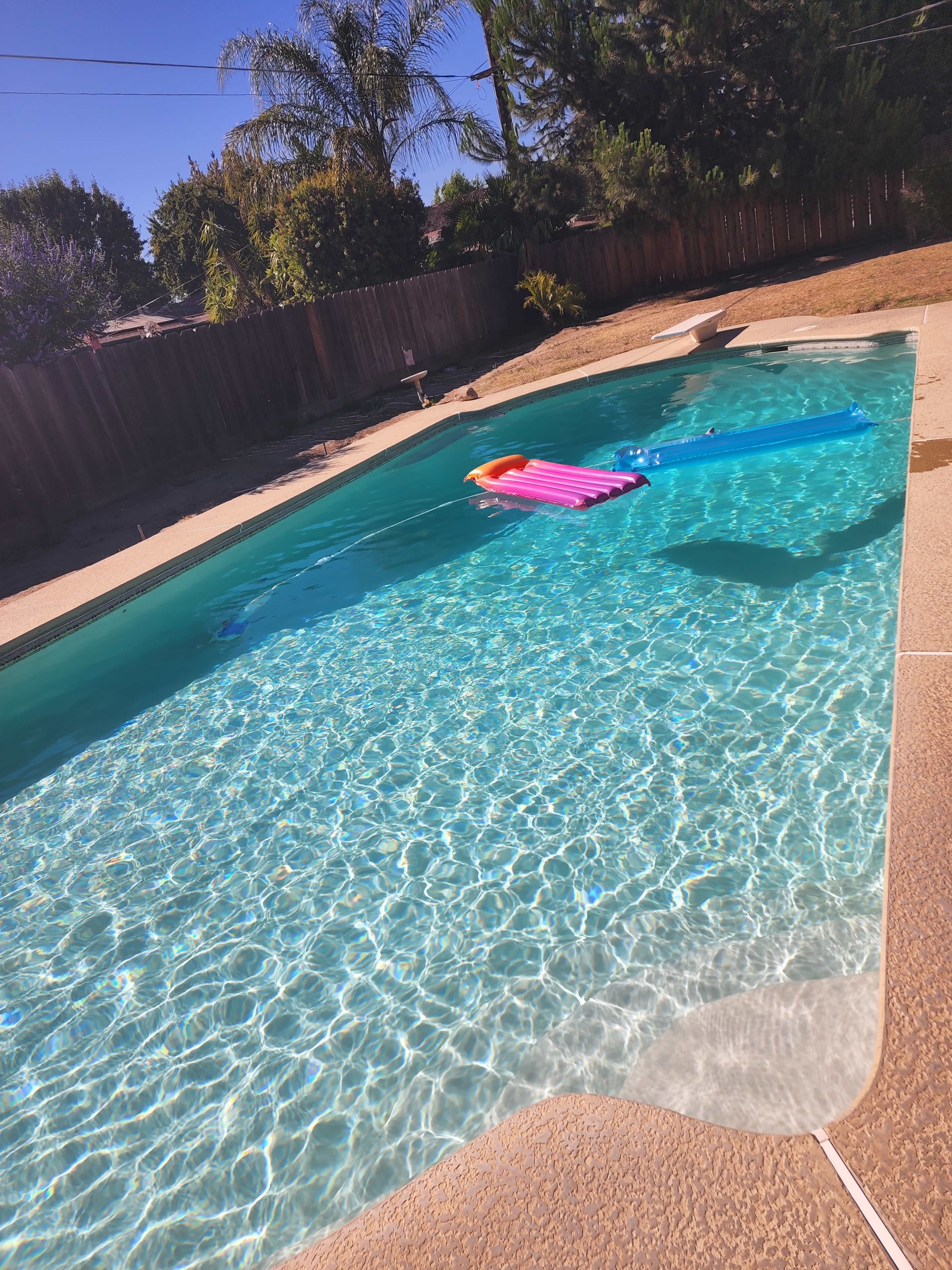 A swimming pool with clear water and two floating pool loungers in bright colors.
