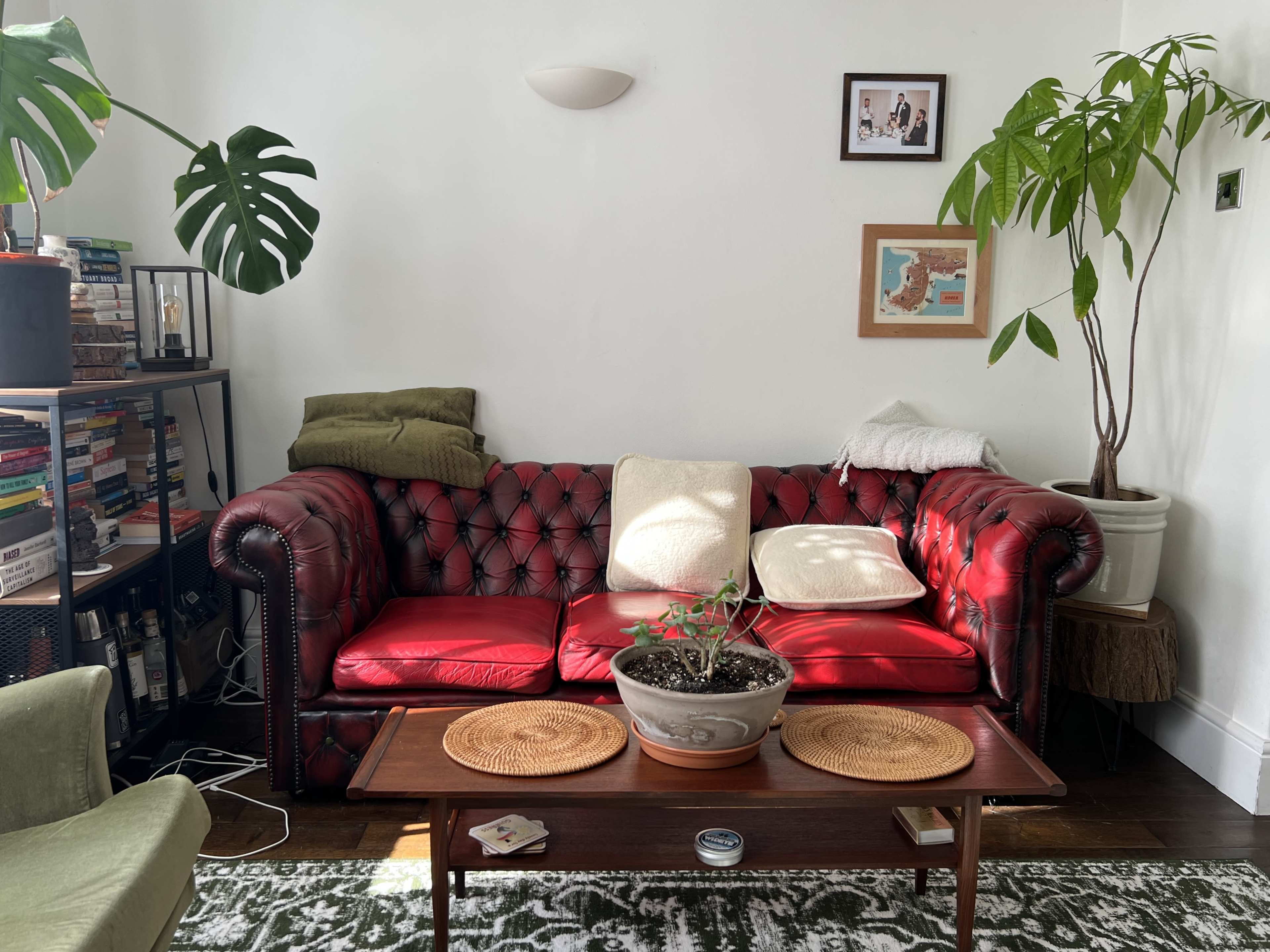 A red leather couch is positioned against a white wall, accompanied by a wooden coffee table and potted plants, with a bookshelf filled with books on one side.