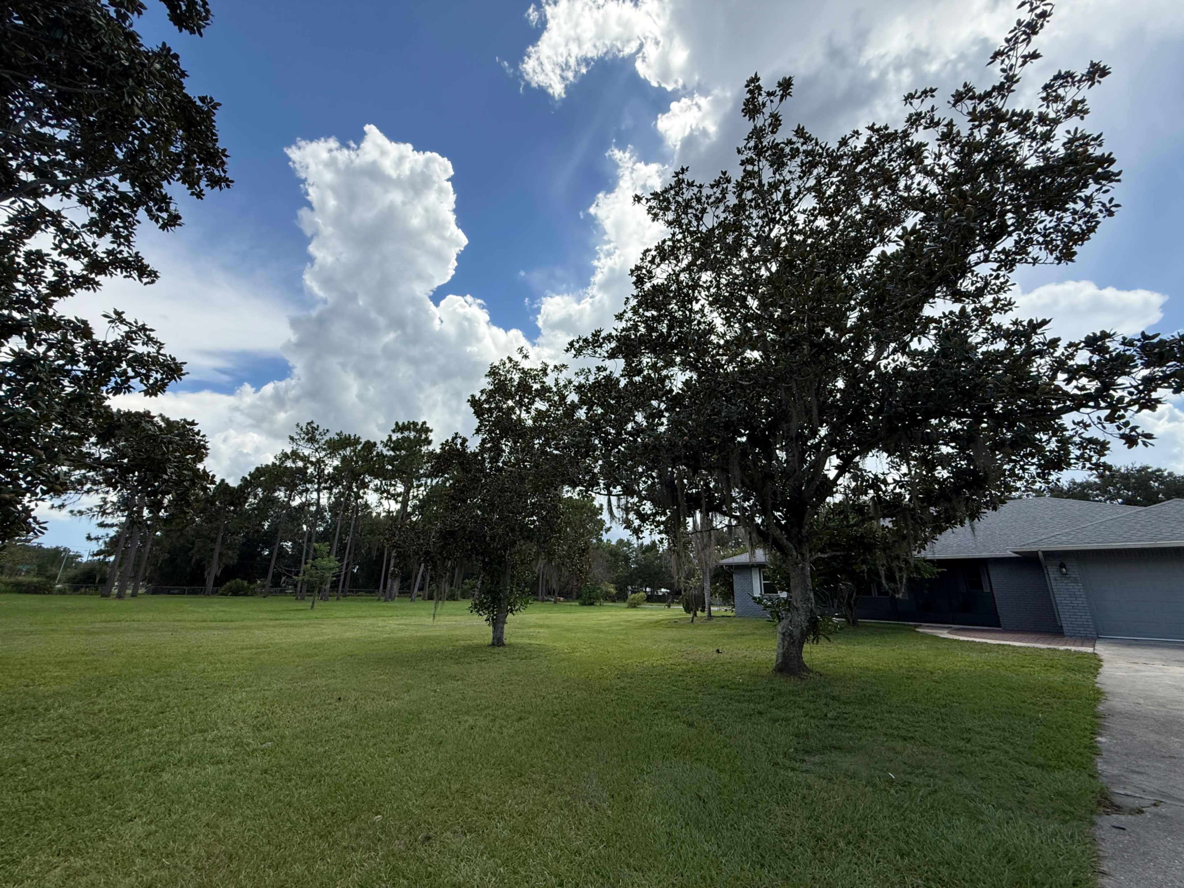 The image shows a grassy area with several trees under a partly cloudy sky.