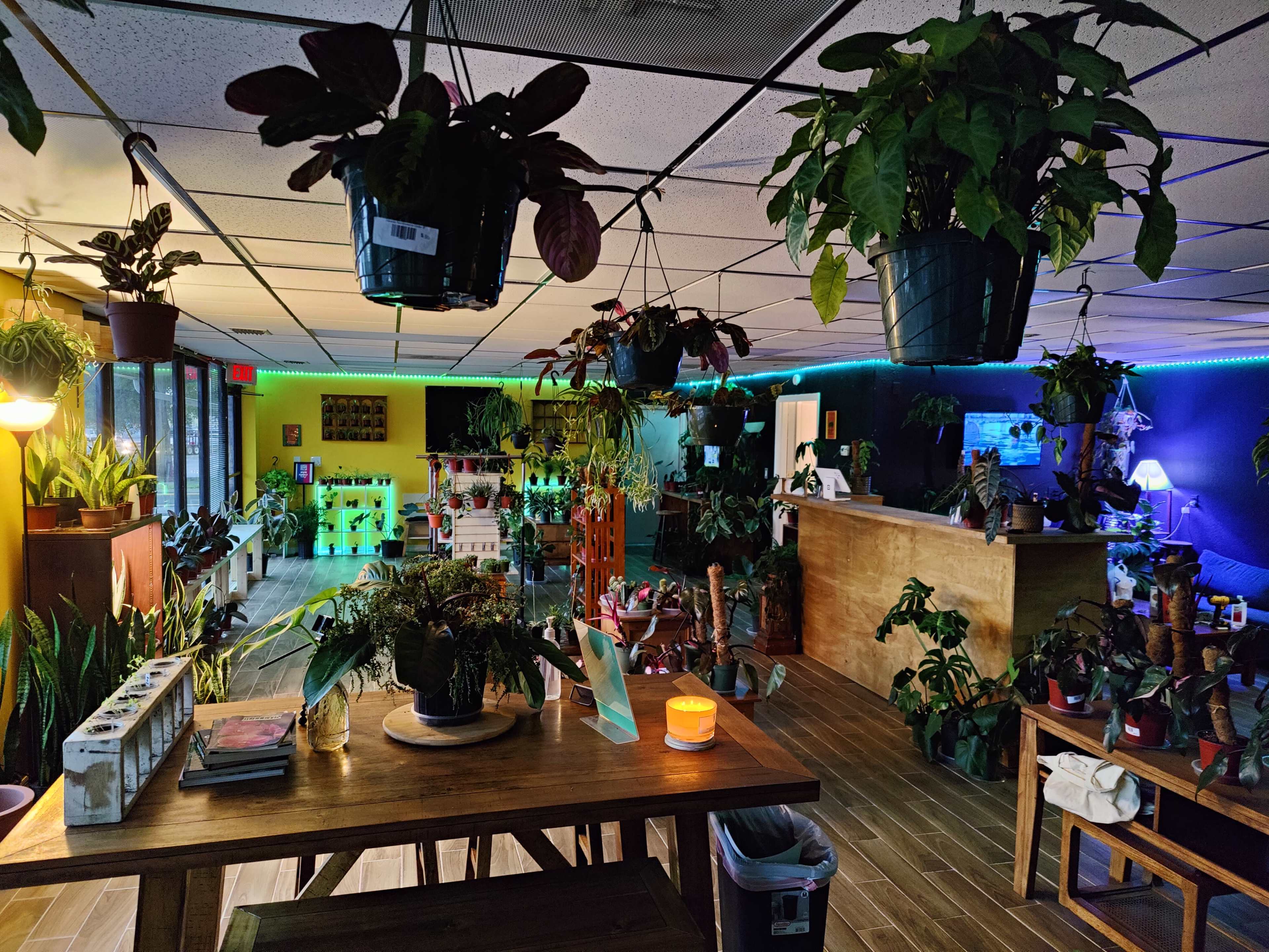 A spacious indoor area filled with various plants, including hanging planters, surrounded by tables and seating arrangements.