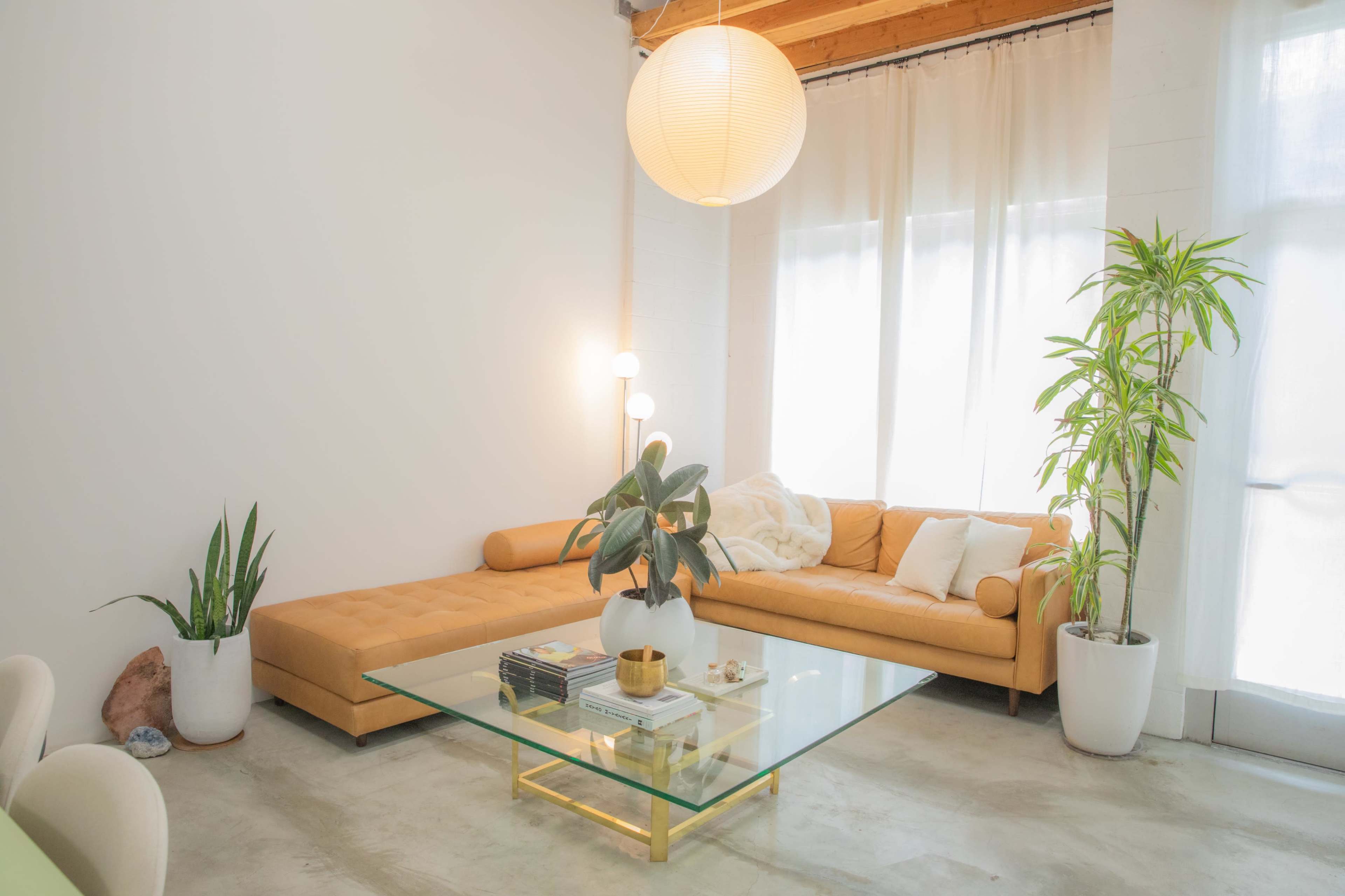 A modern living room features a yellow sectional sofa, a glass coffee table, and tall indoor plants beside large windows with sheer curtains.