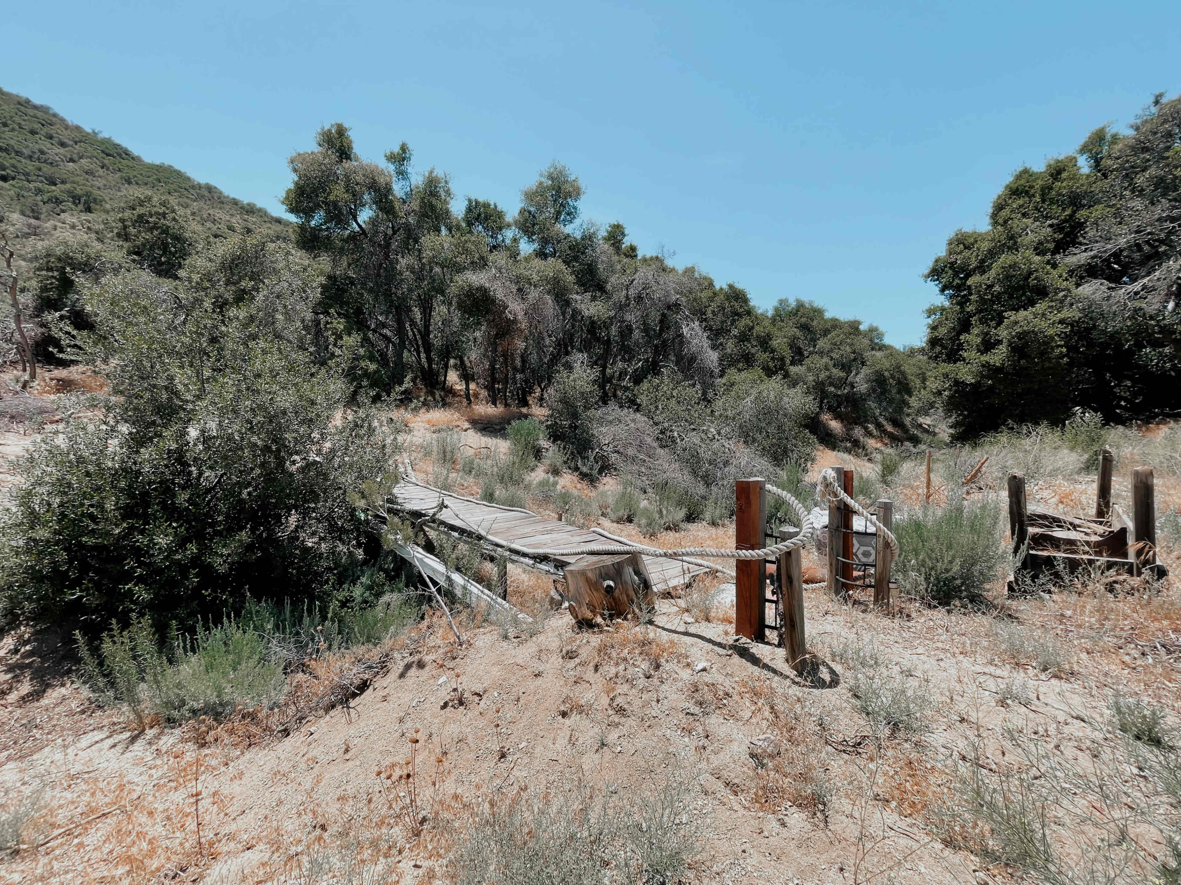 Seasonal Creekbed & Steep Riverbed Forest Wilderness Image in Leona Valley, Leona Valley, CA