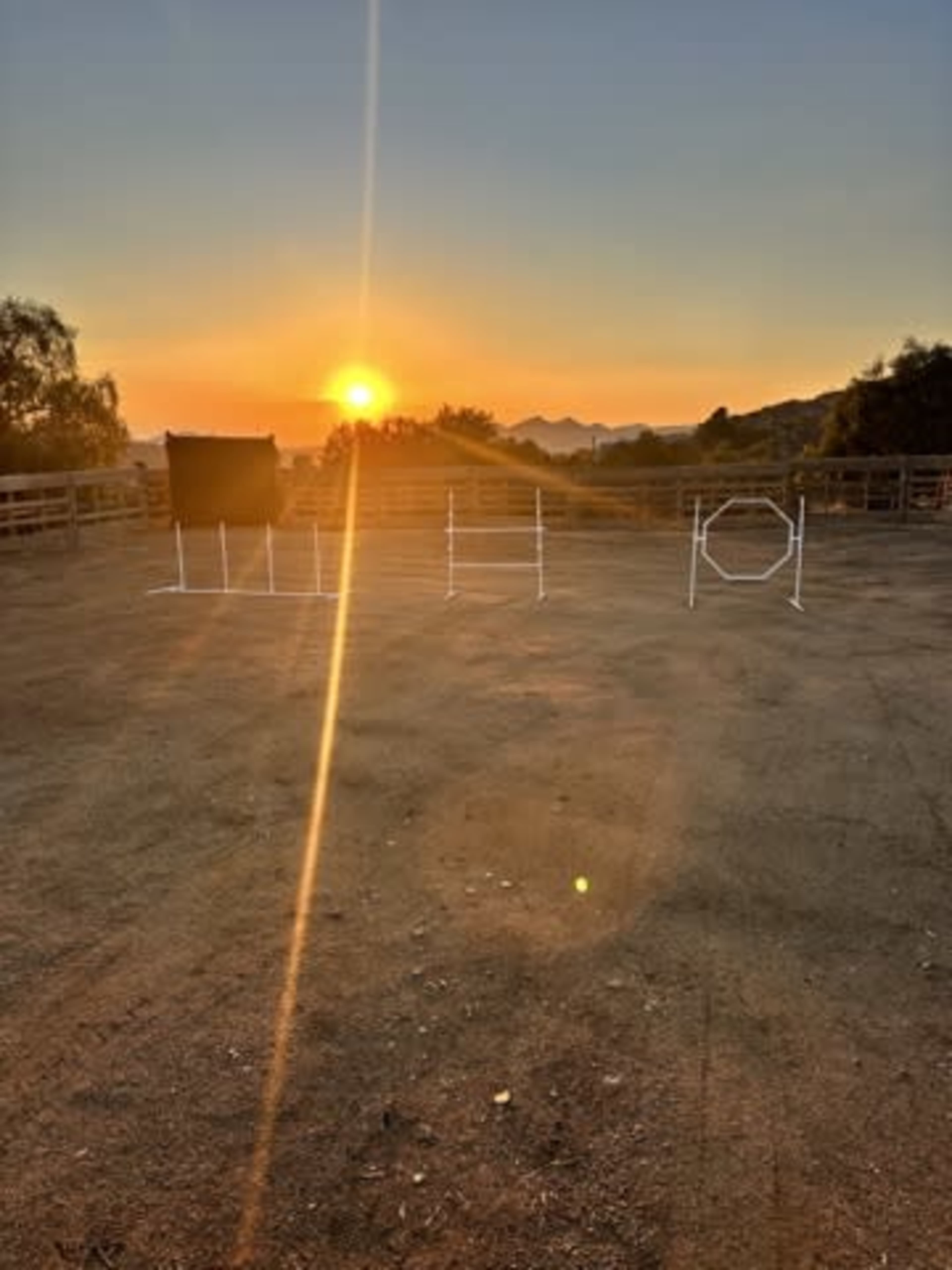 The image shows a sunset over a rural area, with a structured setup for an agility course made of white pipes in the foreground.