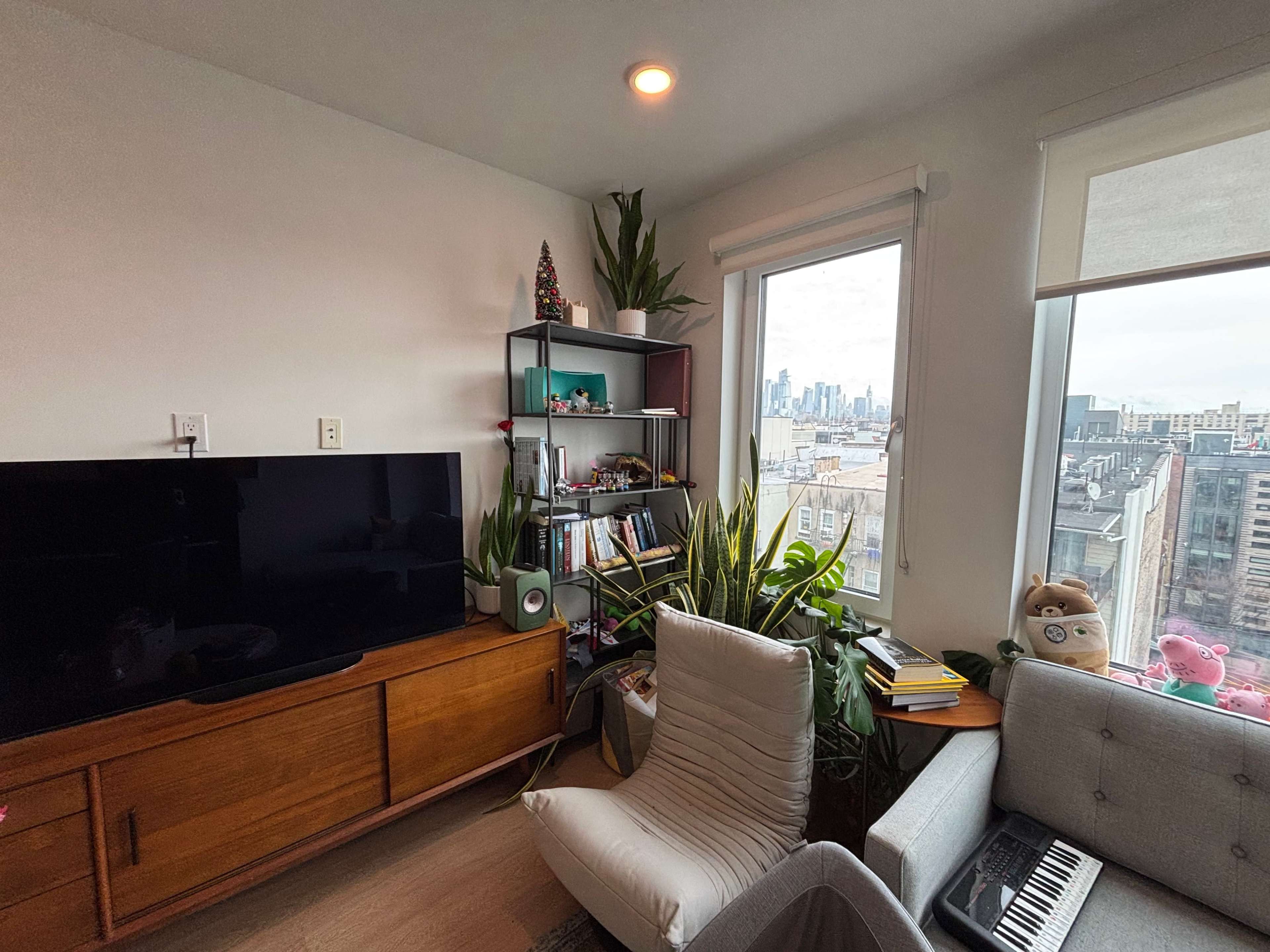 A modern living room features a television, a shelf with plants and books, and a view of a city skyline through a large window.