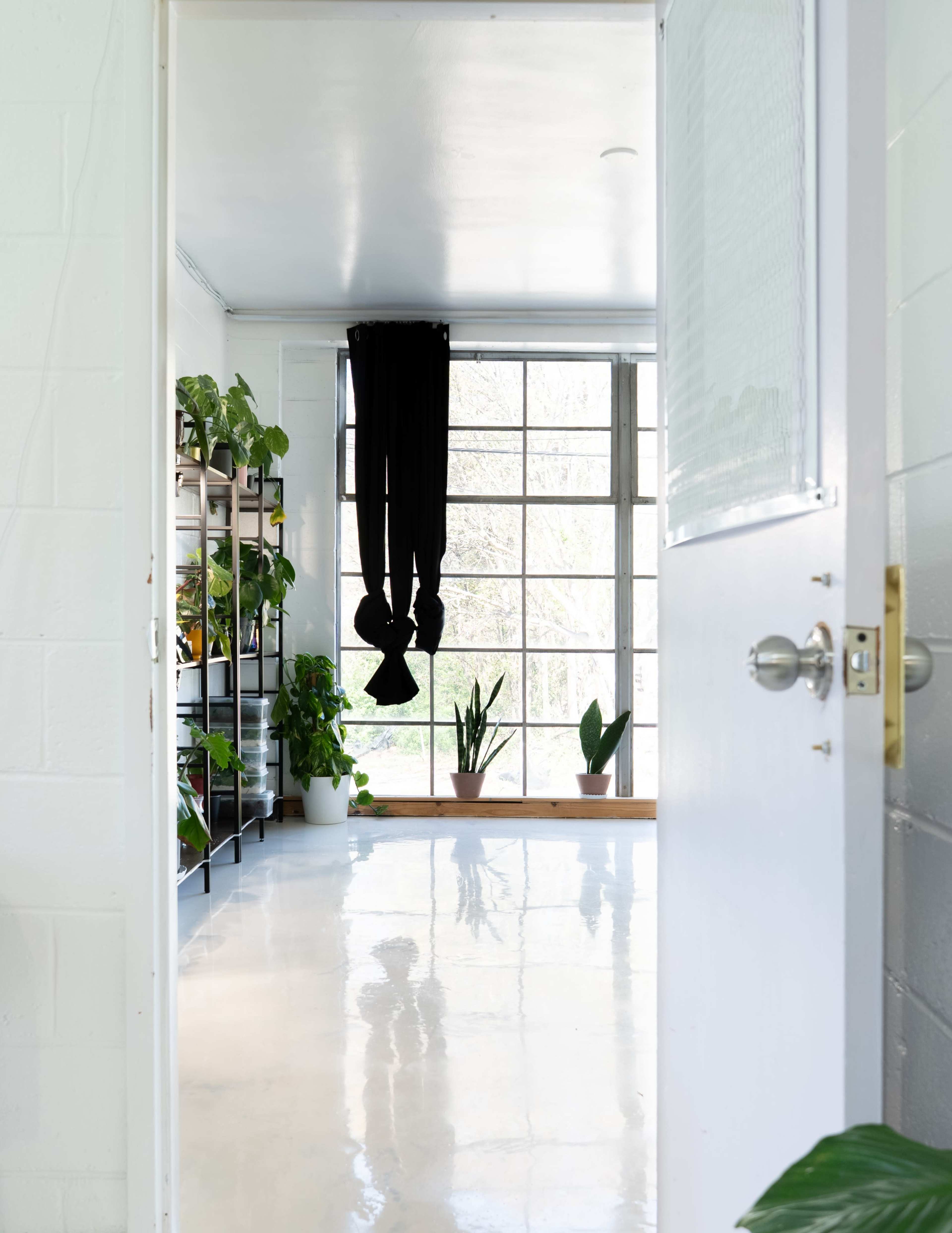 Versatile Plant Studio for Content Creators, Team Meetings, and Workshops Image in Lakewood Heights, Atlanta, GA