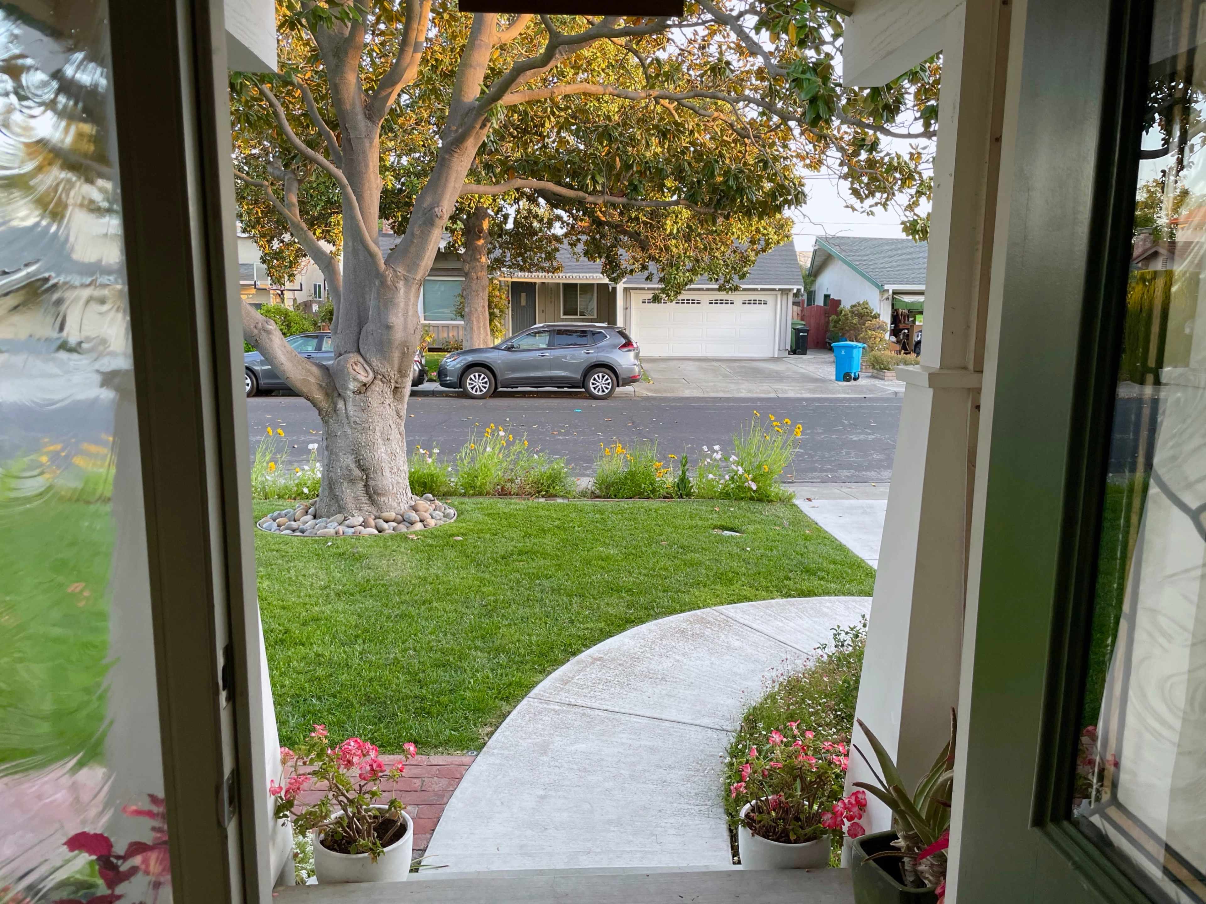 A view from an open front door shows a green lawn, a tree, and parked cars on a residential street.