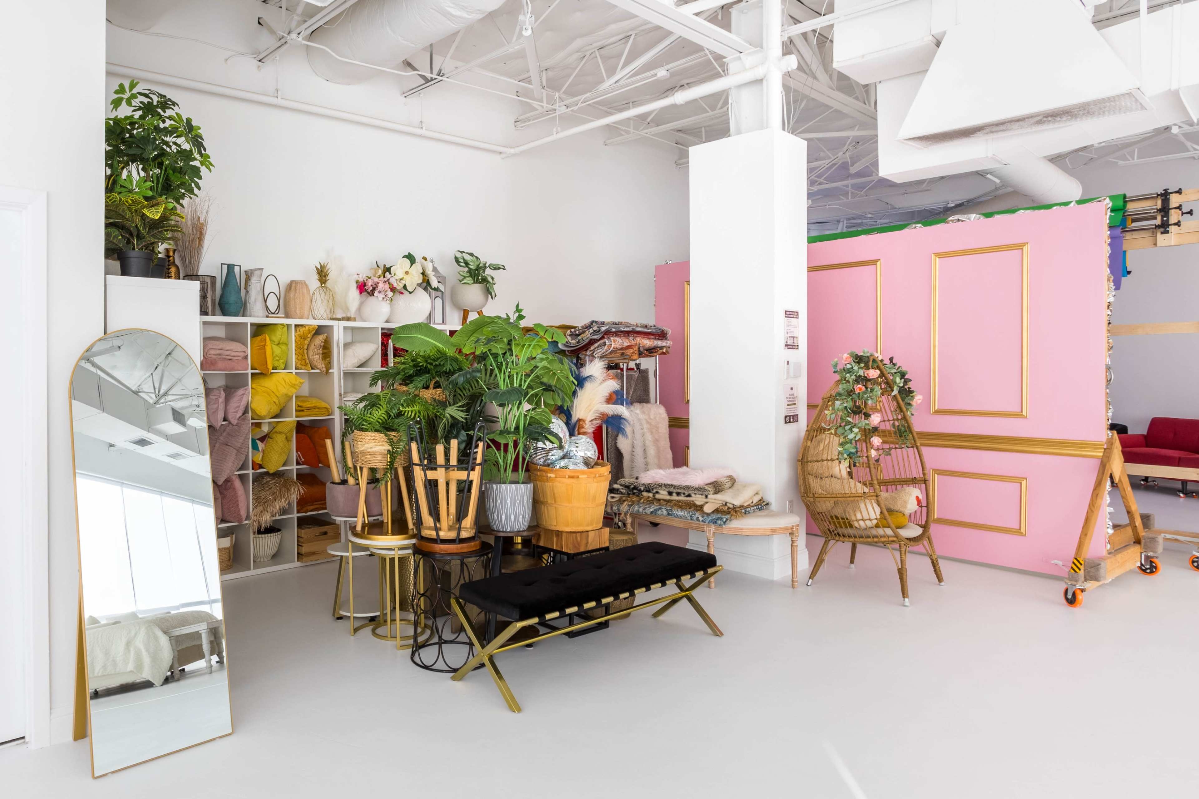 The image shows a brightly lit studio space featuring various decorative plants, a large mirror, seating arrangements, and a vibrant pink wall with gold accents.