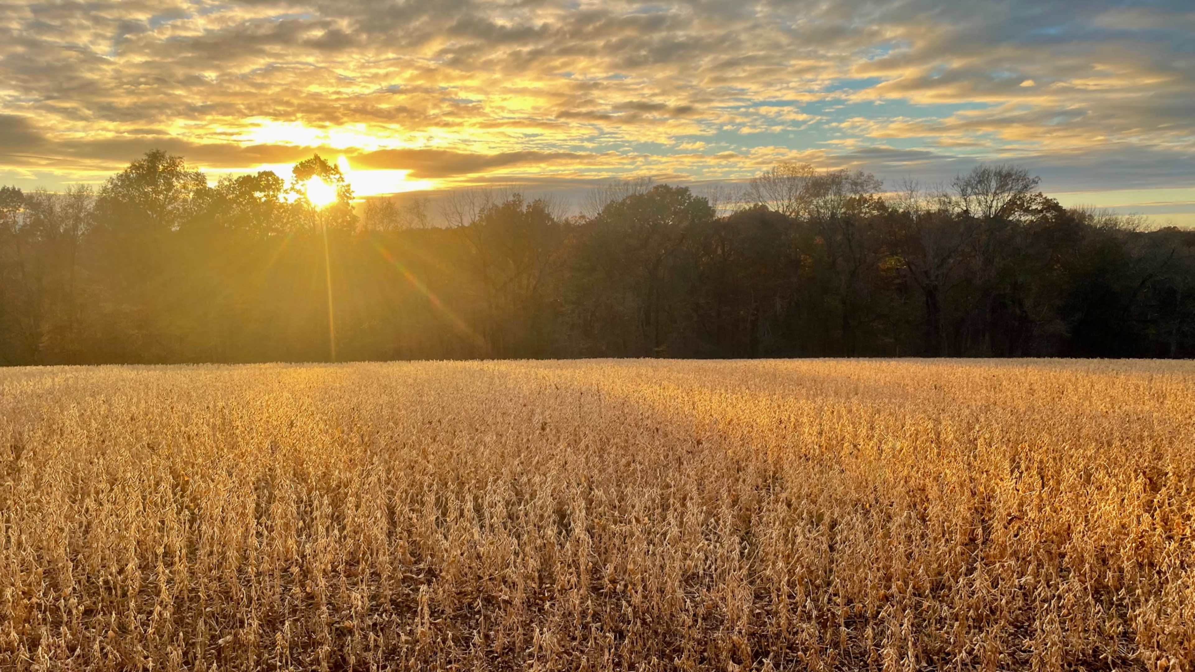 Hundreds of acres of farmland, numerous rustic barns and pure beauty, less than an hour from Nashville Image in , Cedar Hill, TN