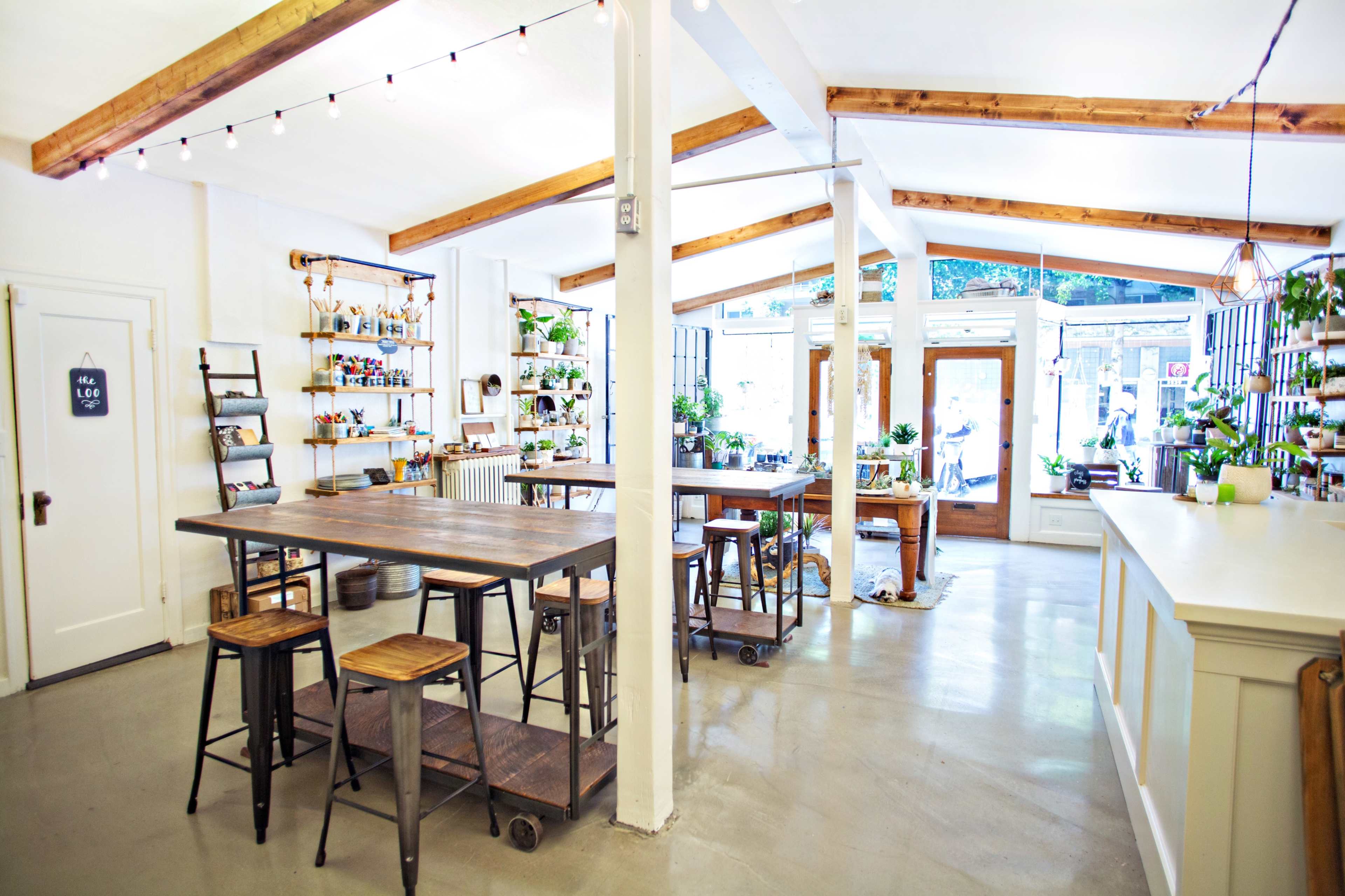 A bright, spacious café interior with wooden beams, metal stools, and various plants displayed on shelves.
