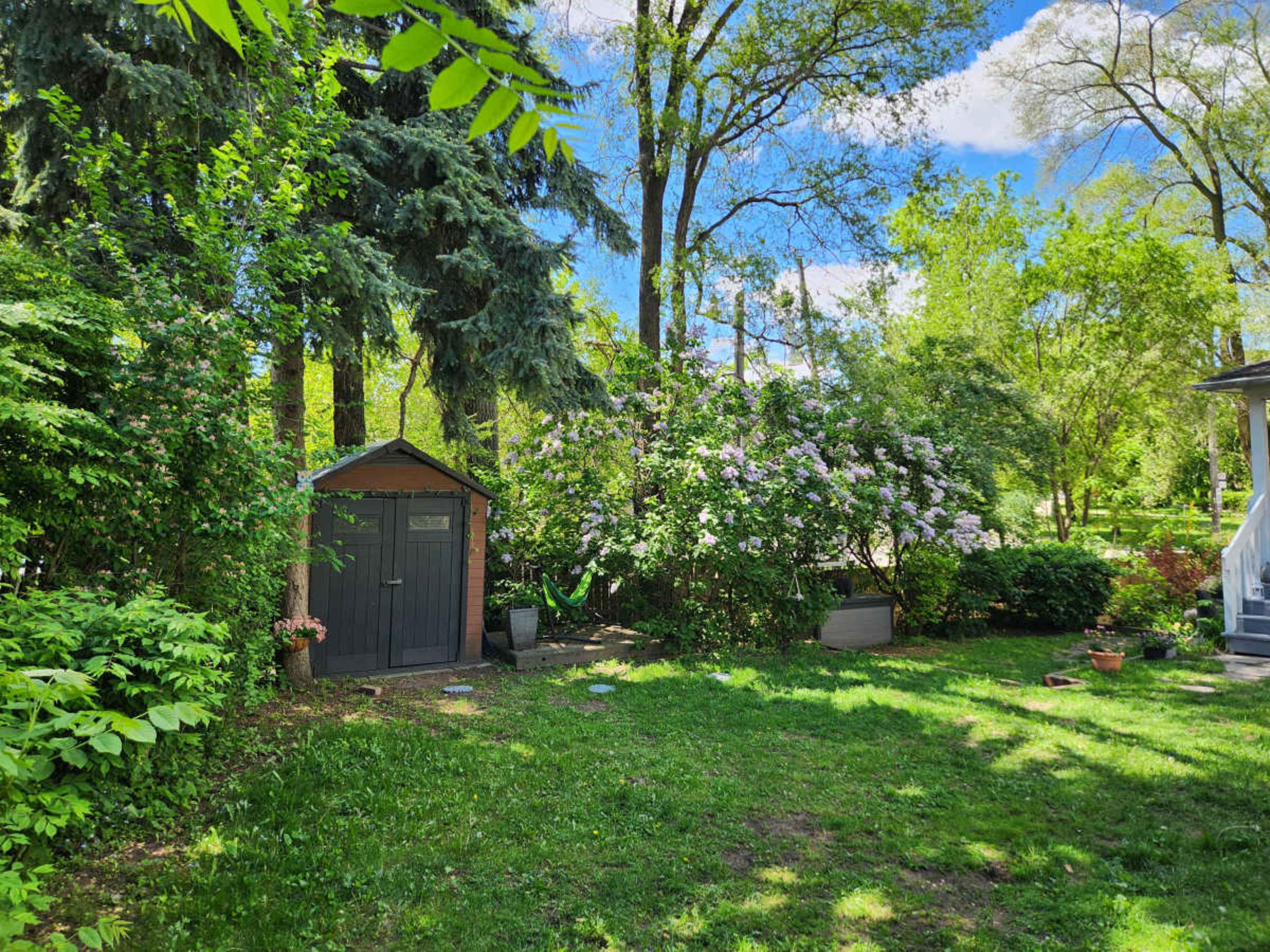 The image shows a green backyard with a shed, flowering bushes, and trees under a blue sky.