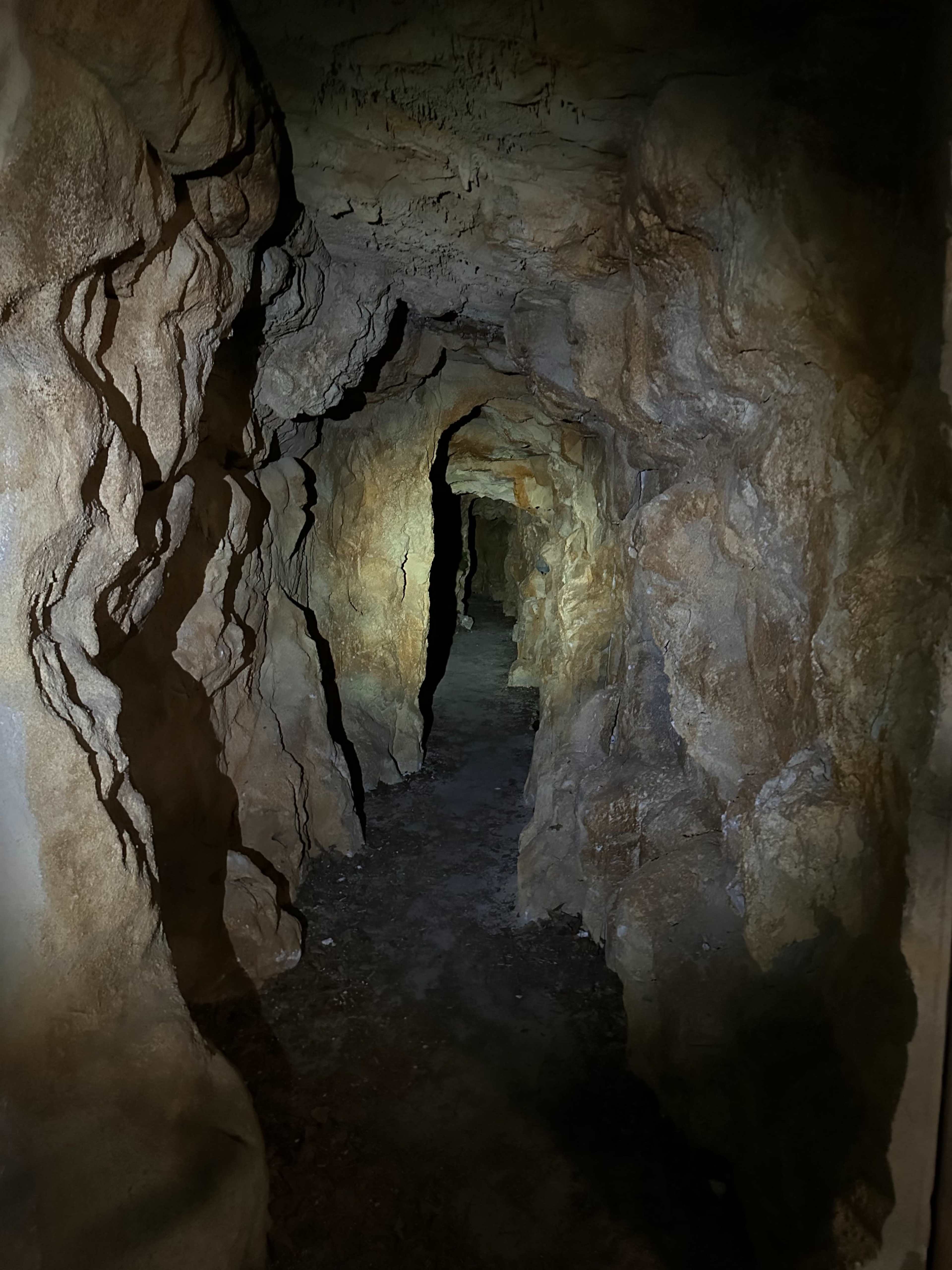 A narrow, dimly lit tunnel carved into rocky walls leads deeper into the darkness.
