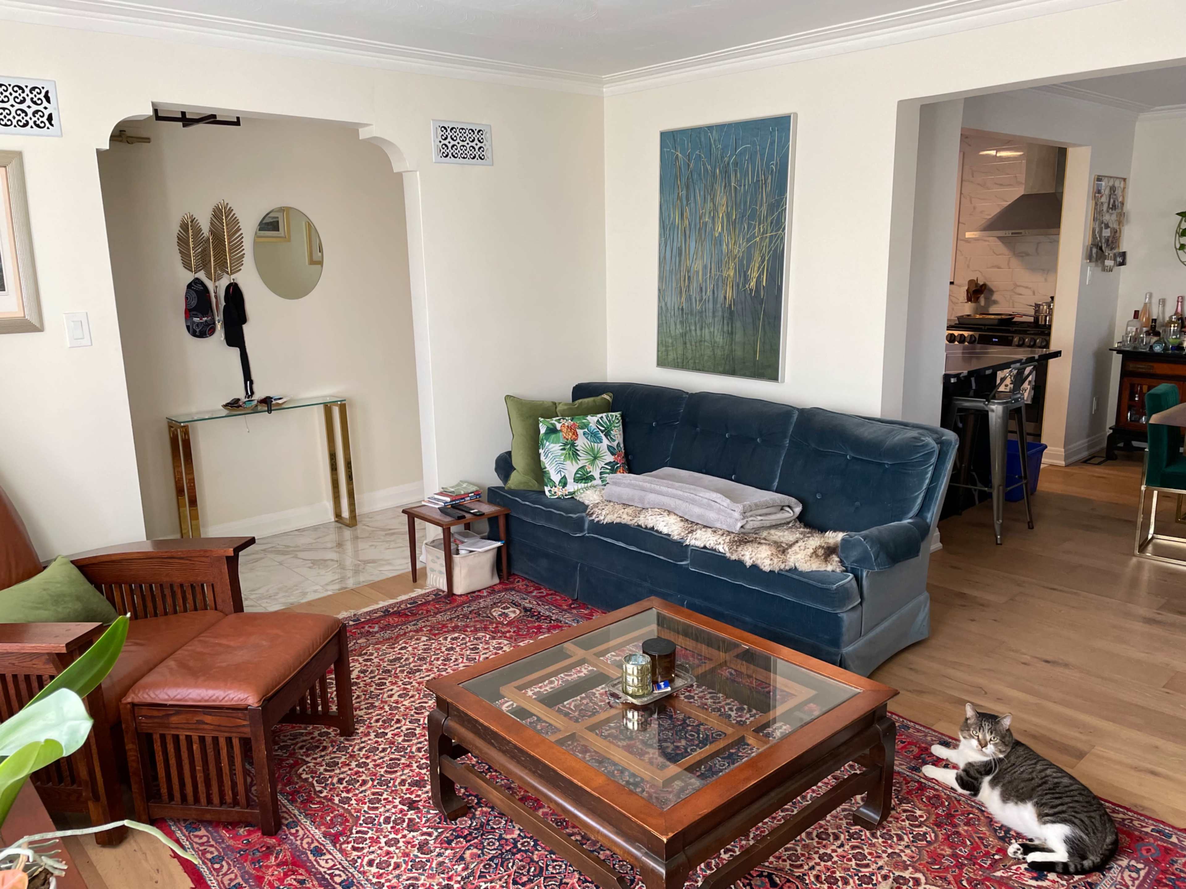 A cozy living room features a blue sofa, two wooden chairs, a coffee table, and a cat lounging on a patterned rug.