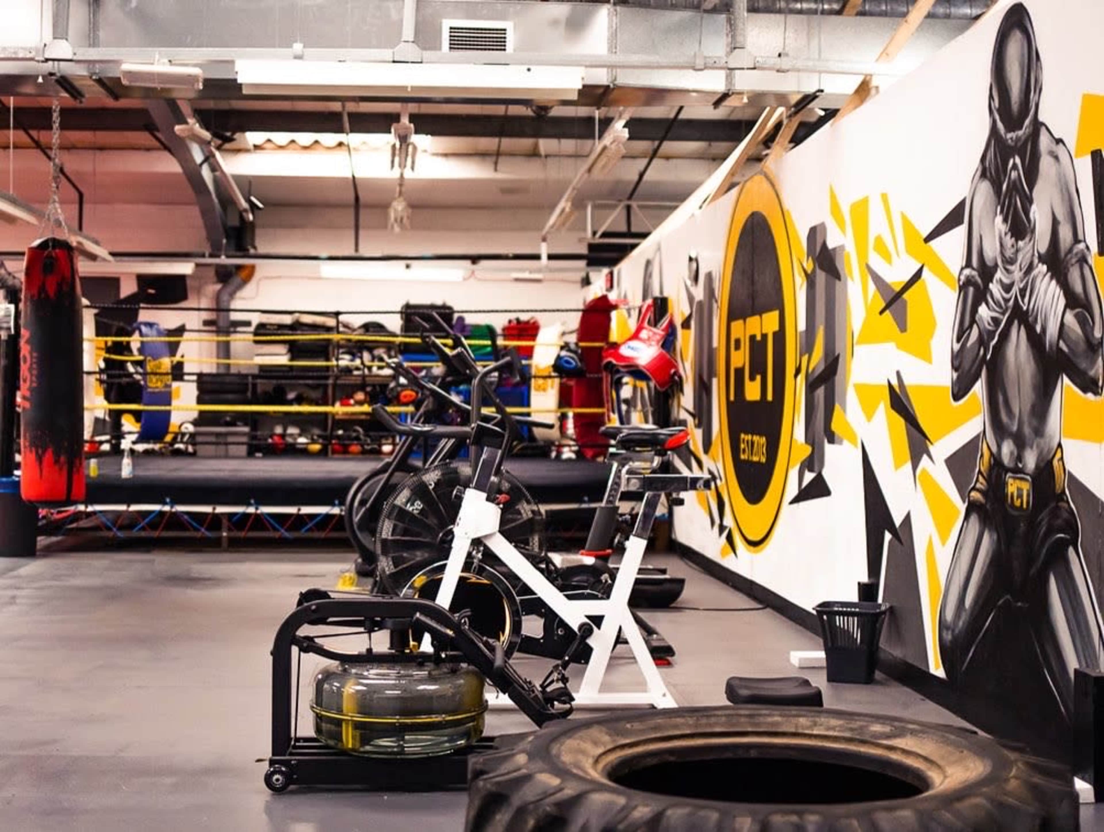The image shows a gym interior featuring exercise equipment and a boxing ring with a mural on the wall.