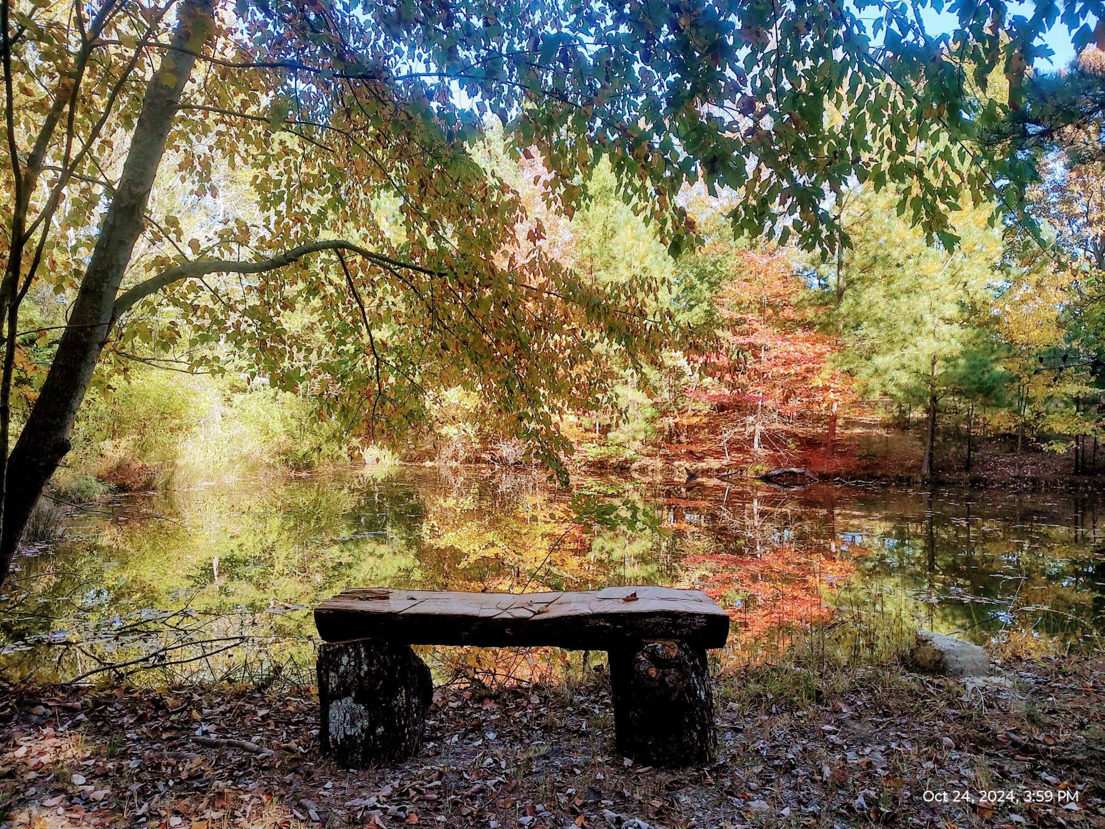 A wooden bench sits near a pond surrounded by trees with autumn foliage reflecting in the water.