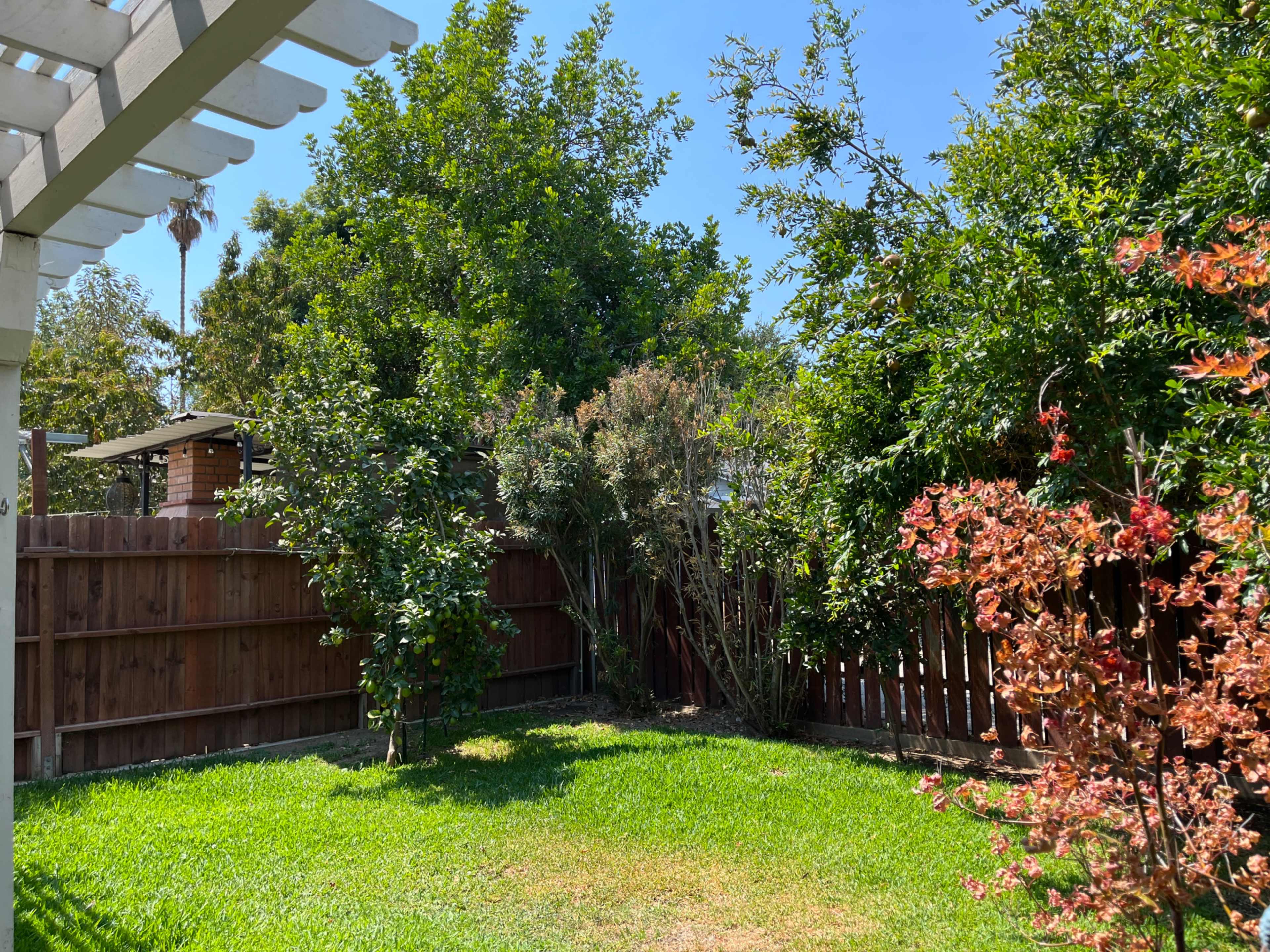 Green Oasis in Lake Balboa! Image in Van Nuys, VAN NUYS, CA
