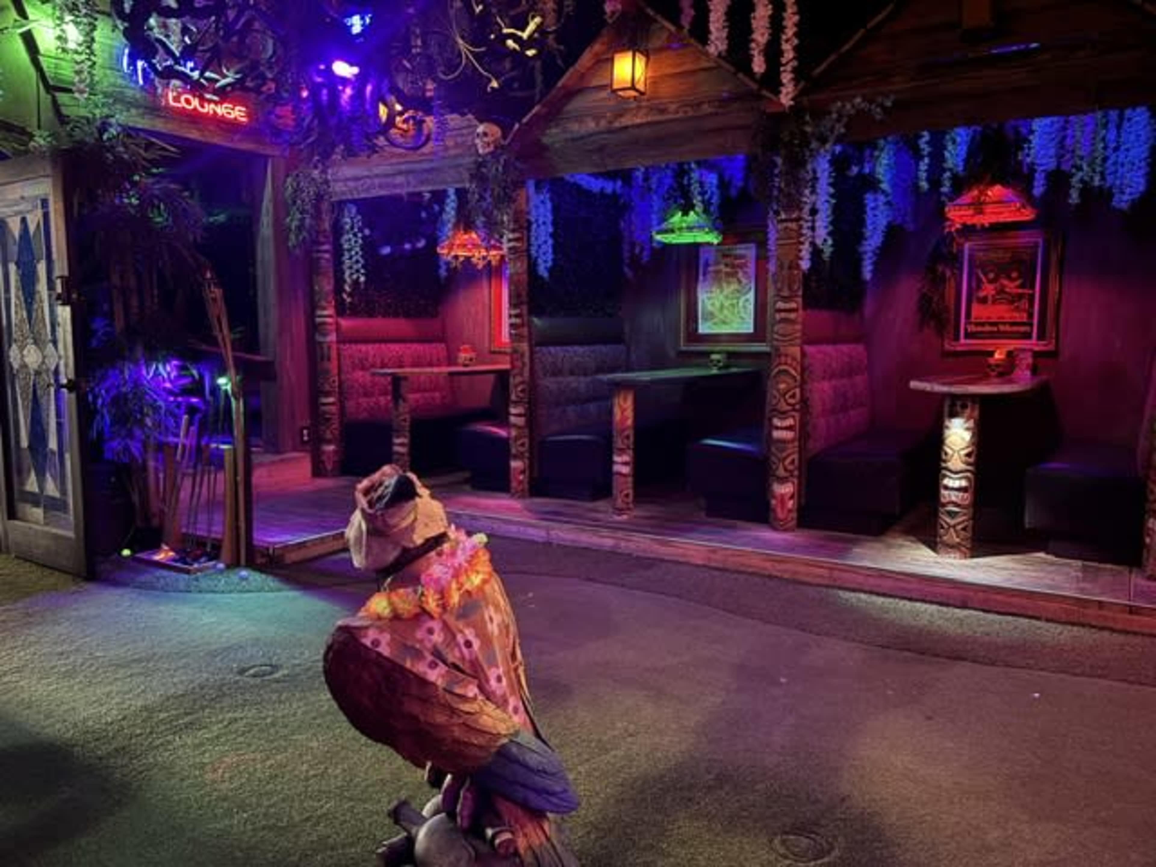 Hidden Tiki Speakeasy Near Siesta Key Beach | Private Bar & Event Space Image in South Sarasota, Sarasota, FL