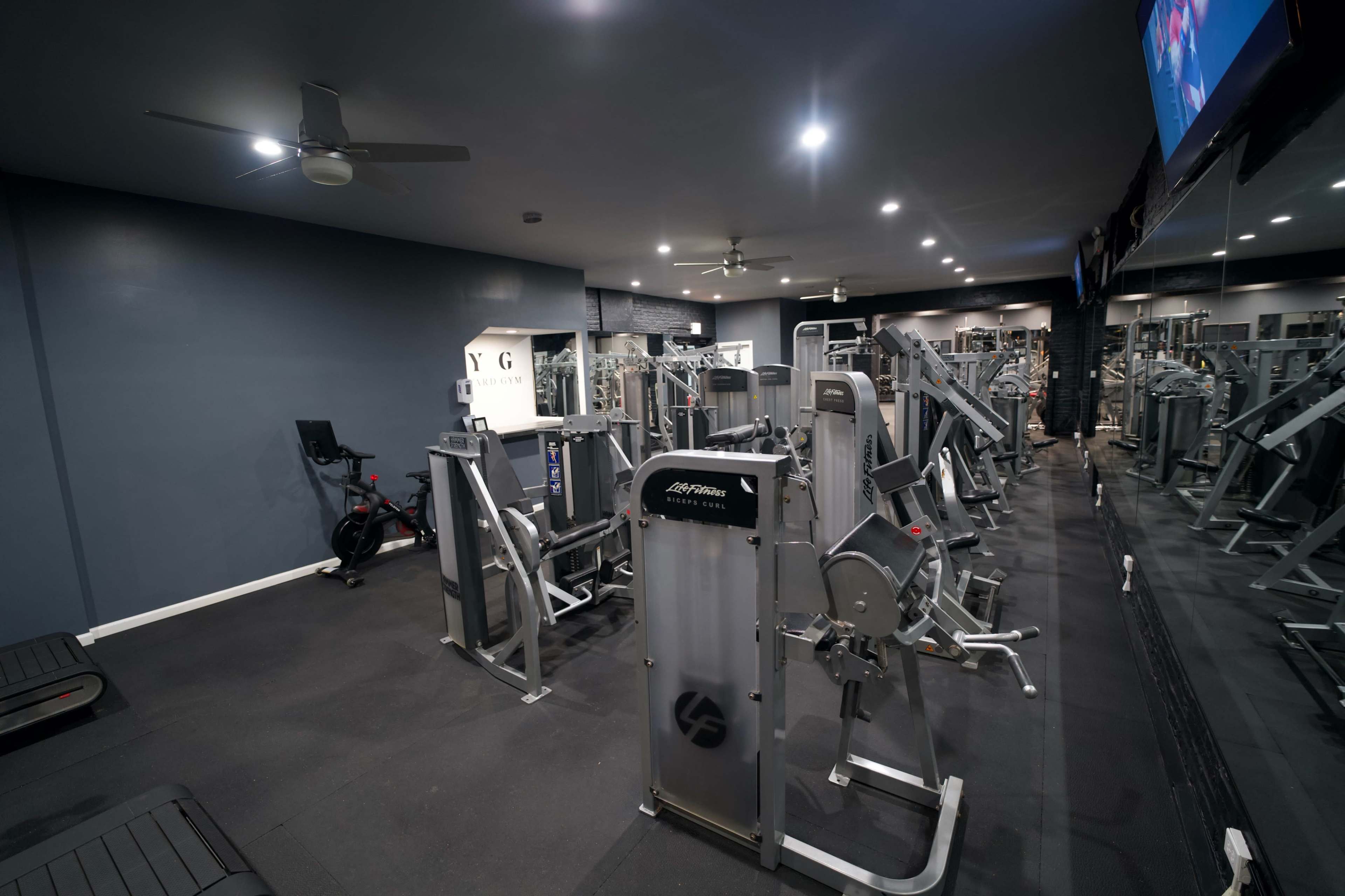 An empty gym interior with various exercise machines and a stationary bike arranged in a well-lit space.