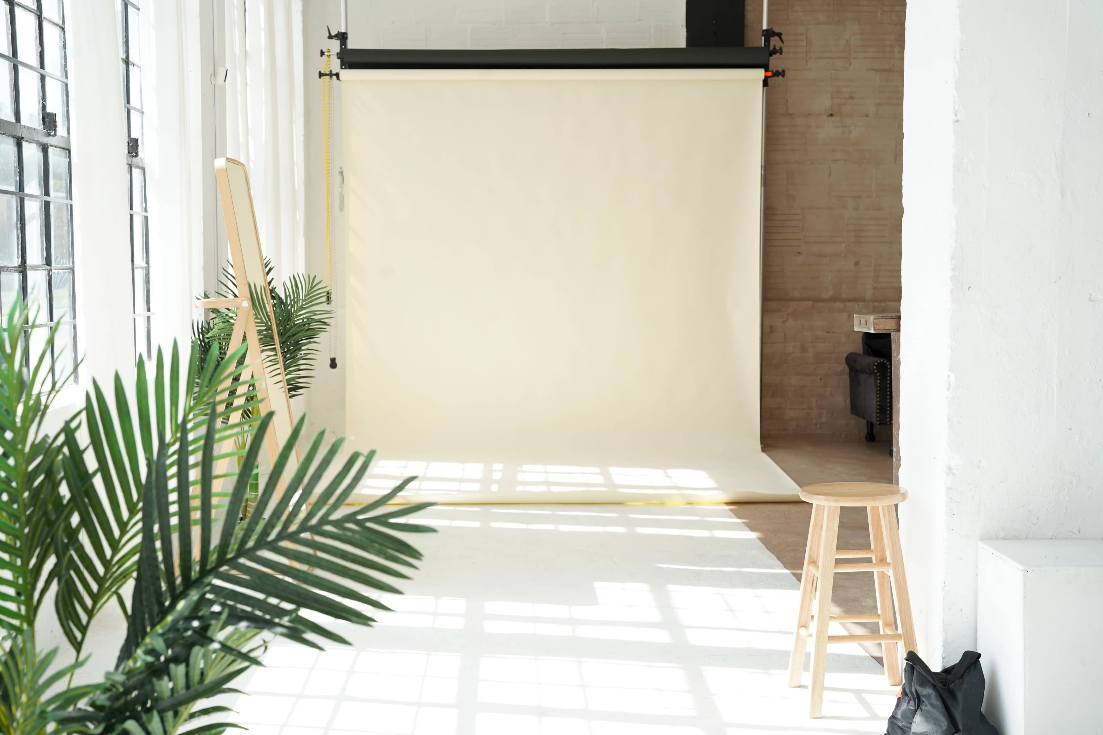 The image shows a well-lit photography studio with a beige backdrop, a wooden stool, and potted plants near large windows.