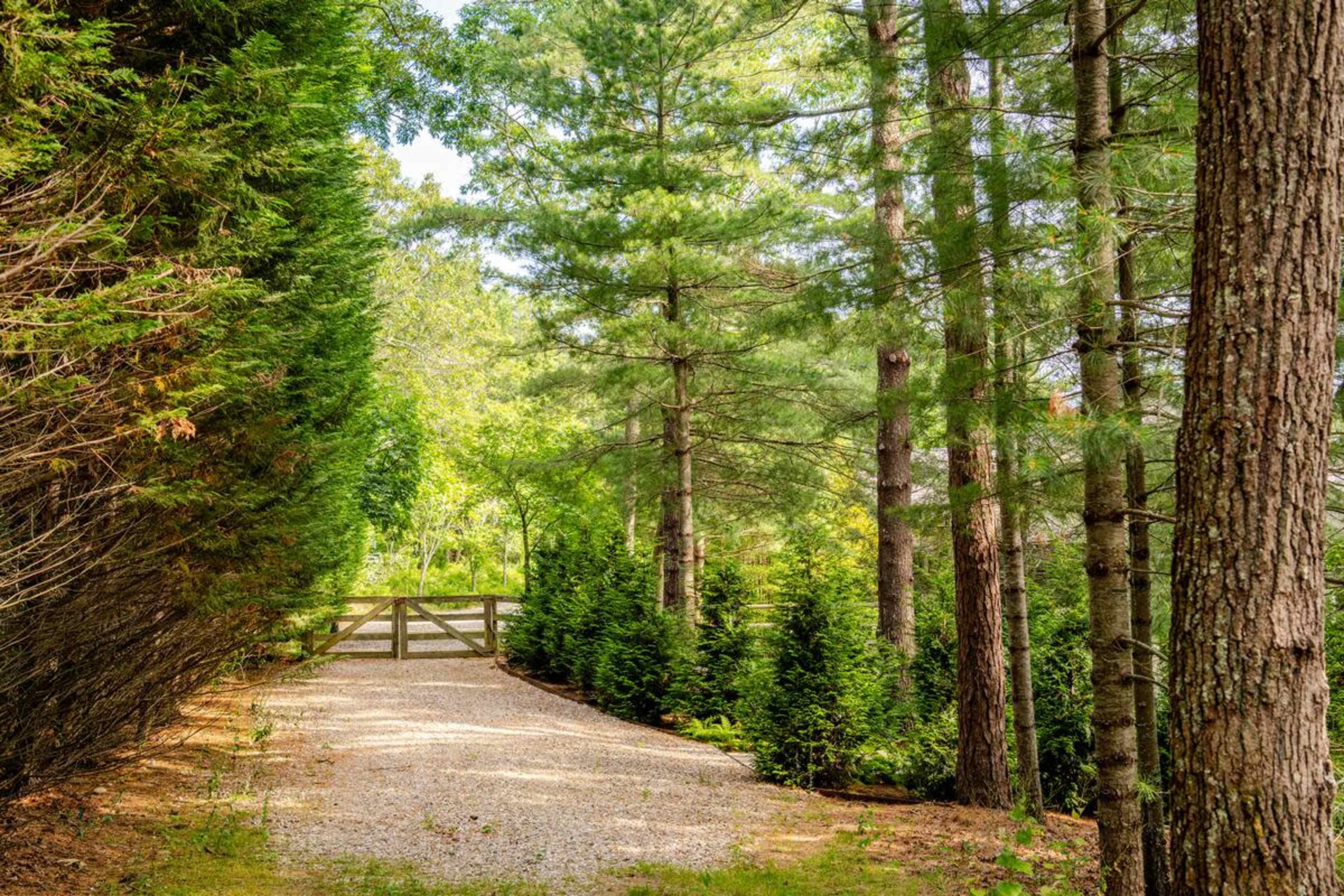 A gravel path lined with tall trees leads to a wooden gate in a wooded area.