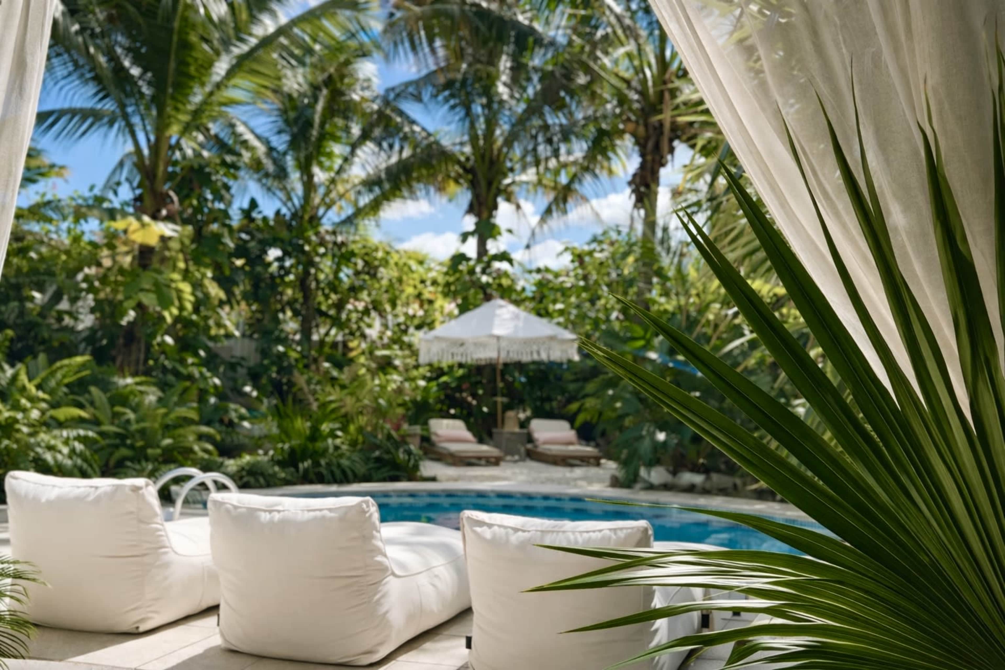A tranquil pool area surrounded by lush greenery and palm trees is viewable through sheer curtains.