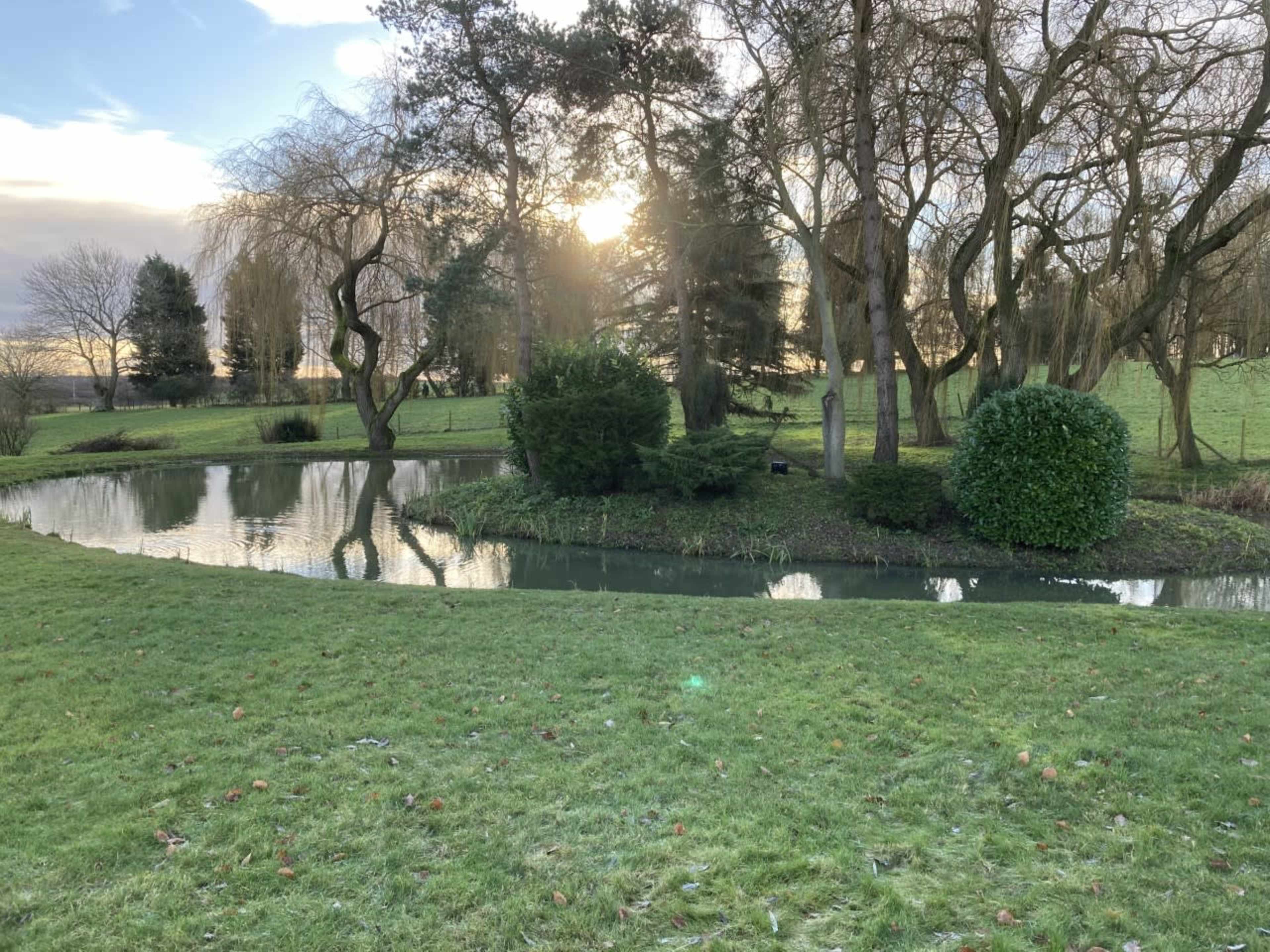 A winding pond is surrounded by trees and grass under a cloudy sky.