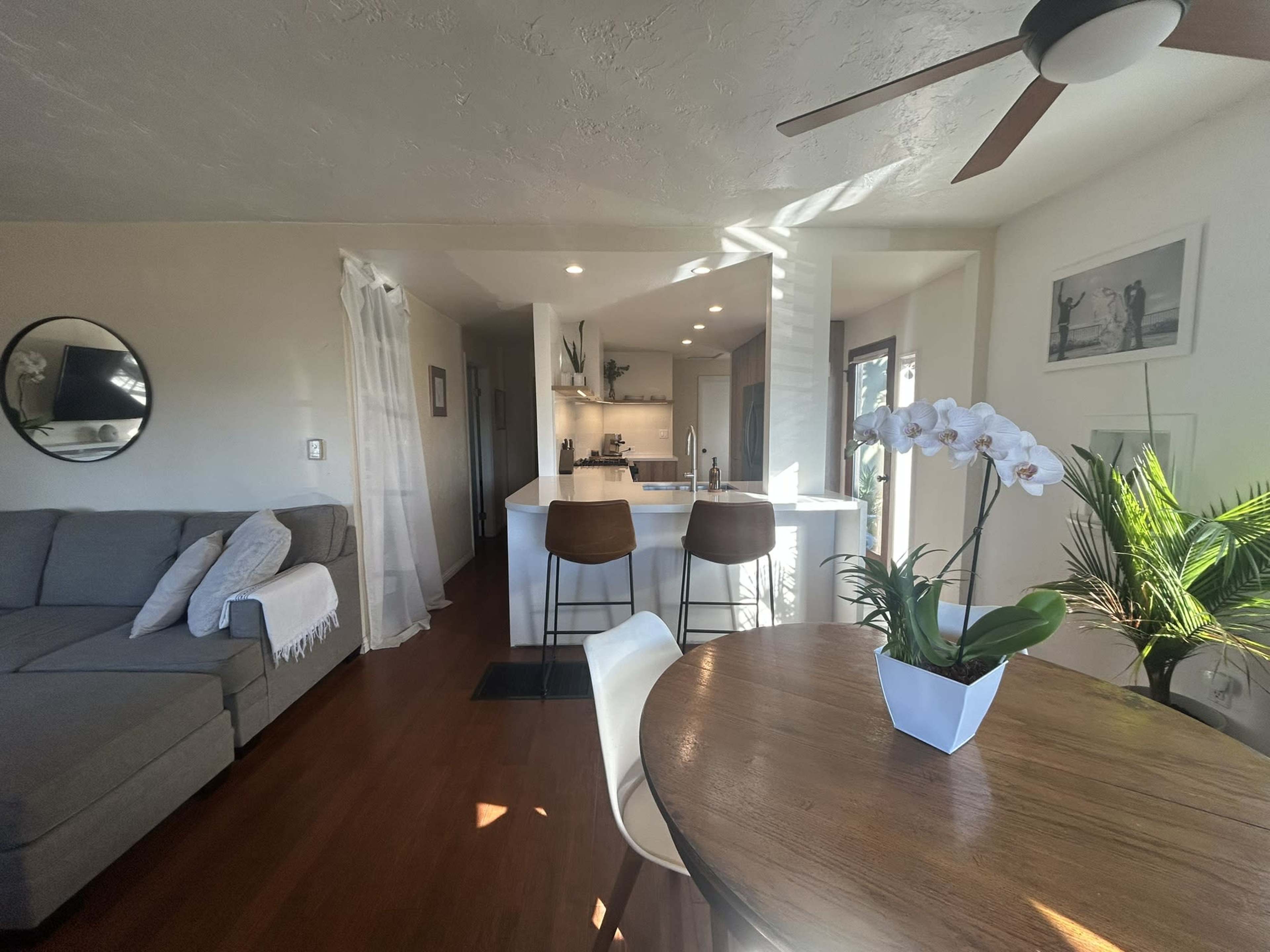 Beach Home with Tropical Yard Image in Leucadia, Encinitas, CA