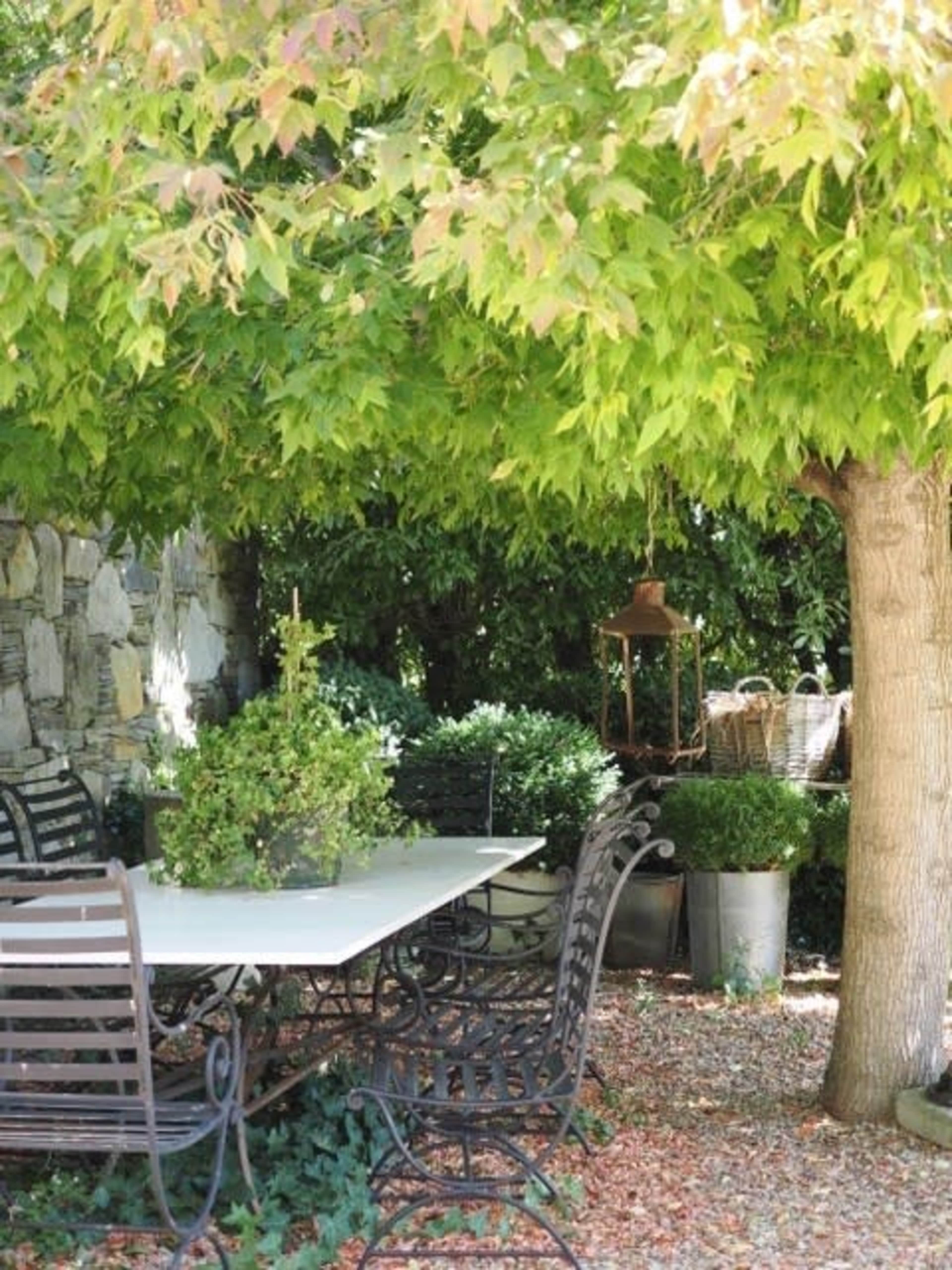 A shaded outdoor dining area features a white table surrounded by metal chairs under a tree with vibrant green leaves.
