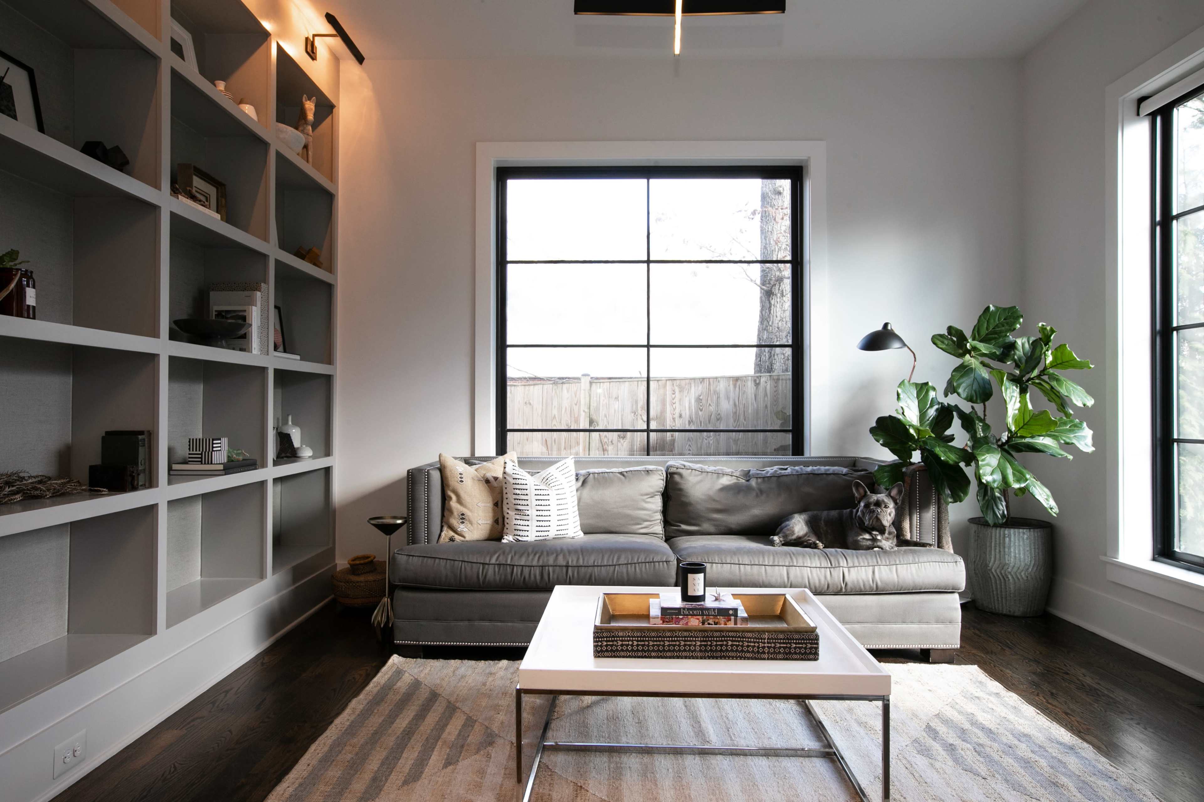 A modern living room features a gray sofa positioned near a large window, with a coffee table in front and a potted plant beside it.