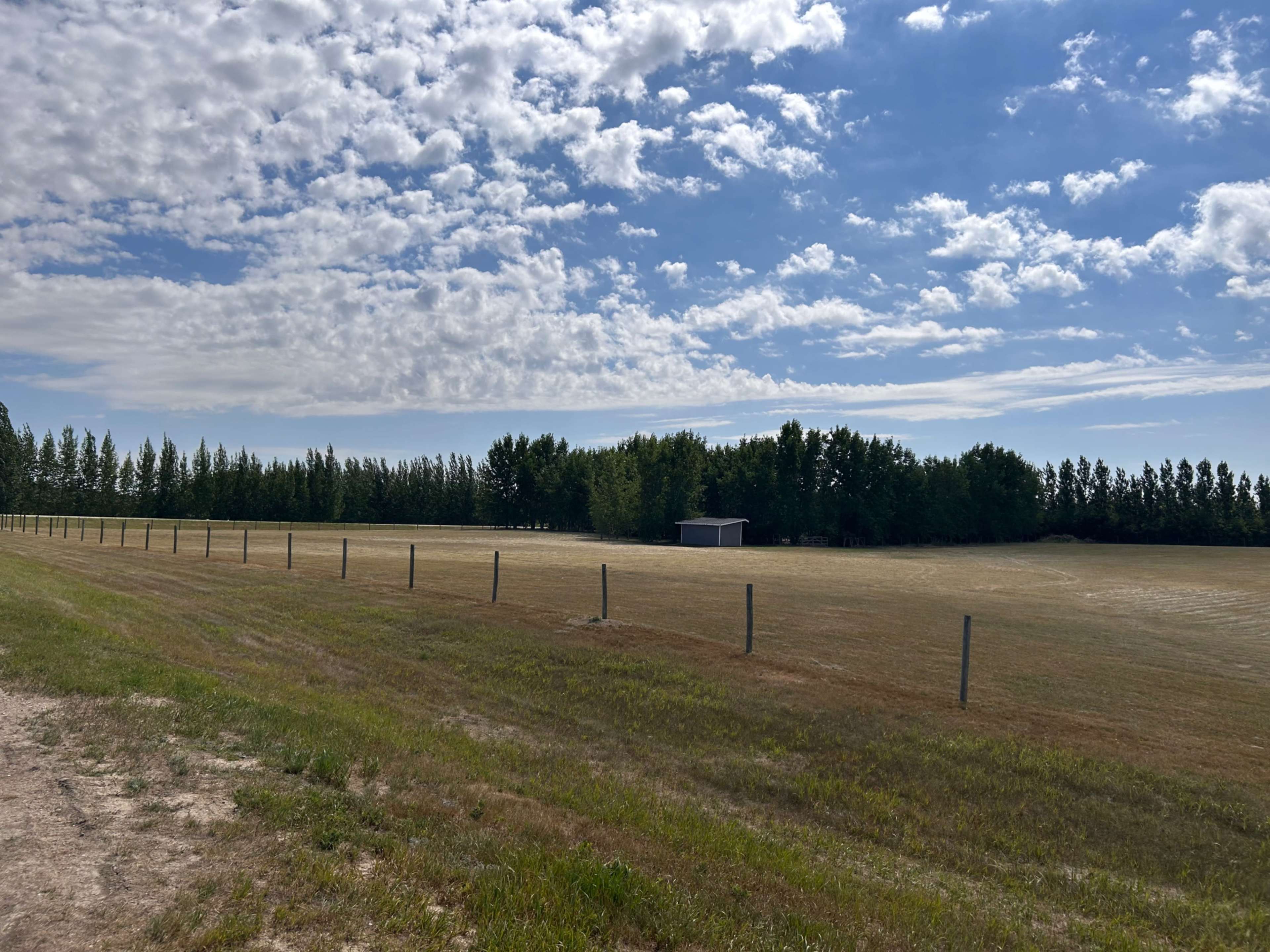 The image shows a wide, open field with a line of trees in the background and a small shed situated near the edge of the field under a partly cloudy sky.
