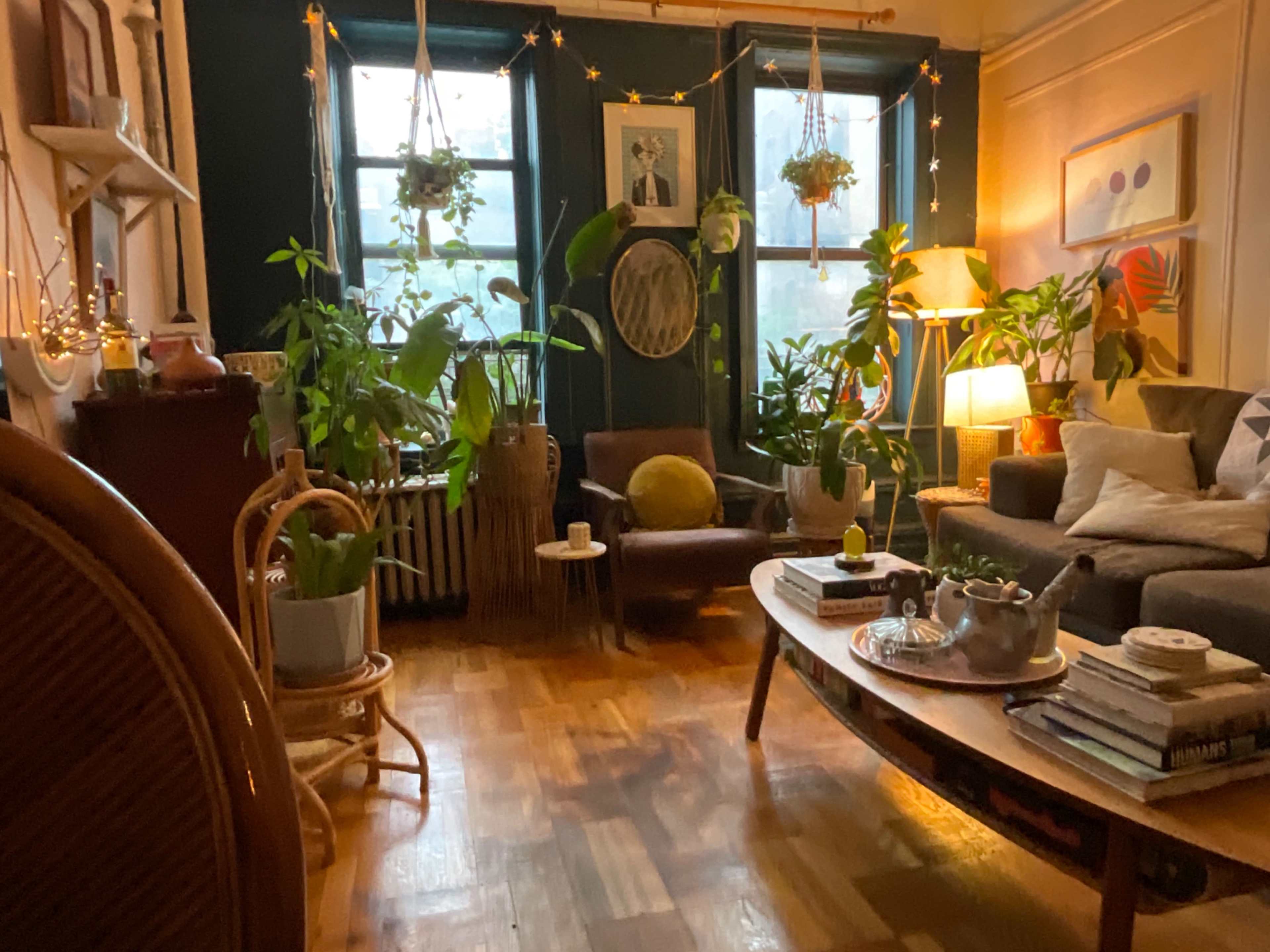 A cozy living room features plants, two large windows, a comfortable seating area, and a coffee table with books and decor.