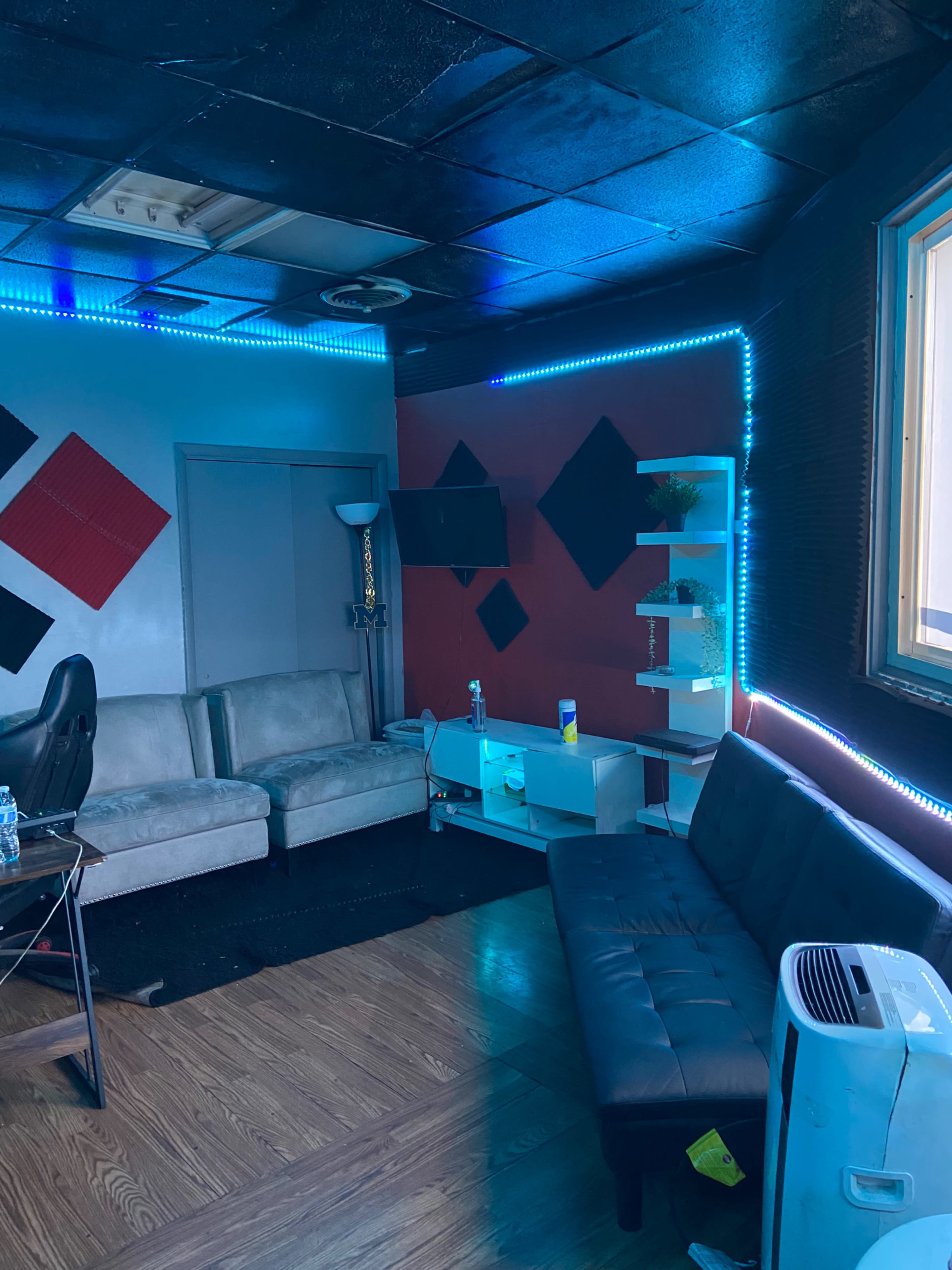 A small room with two sofas, a wall-mounted TV, a shelf with plants, and blue LED lighting.