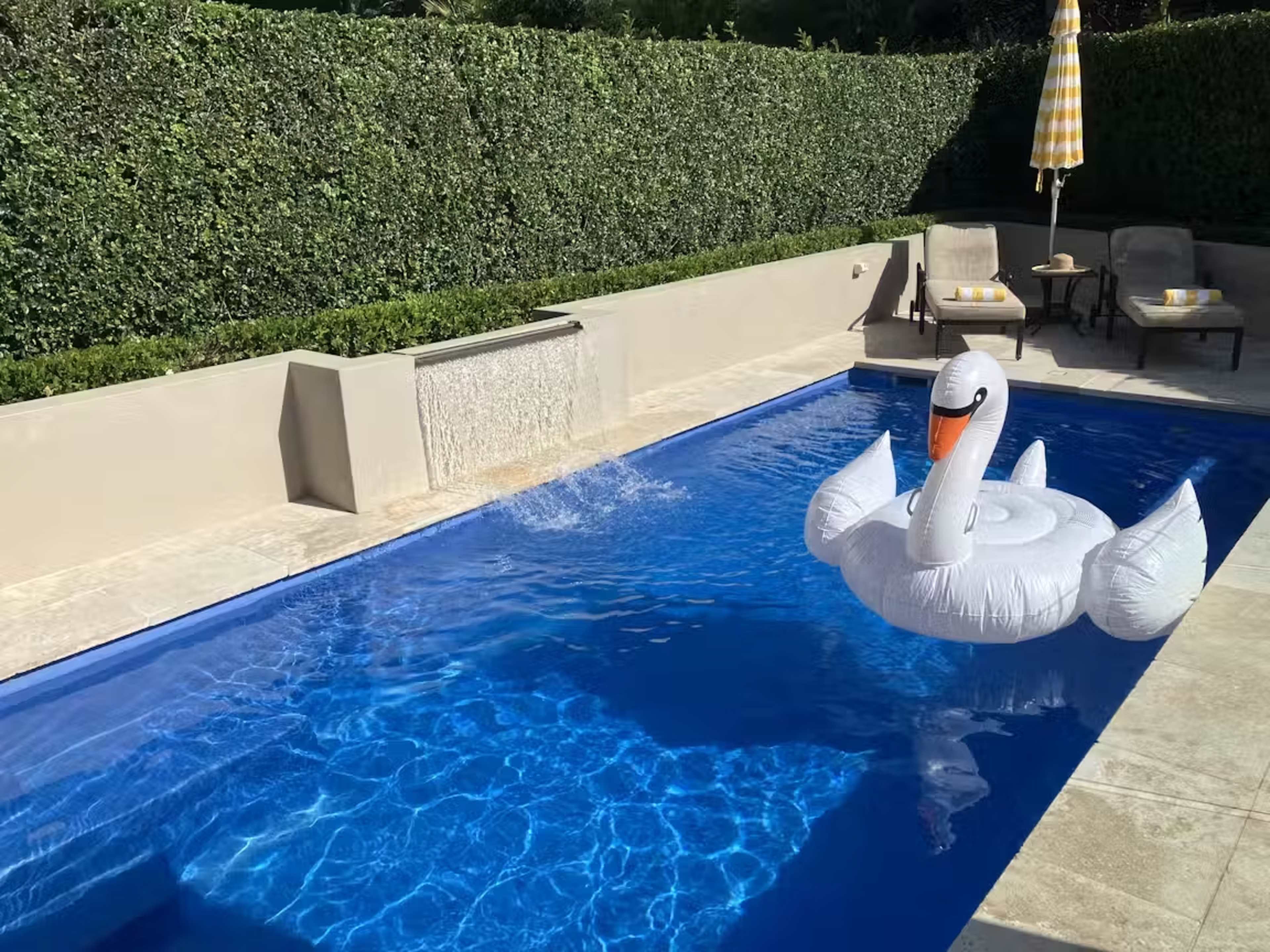 A large inflatable swan floats in a pool surrounded by a neatly trimmed hedge and lounge chairs.