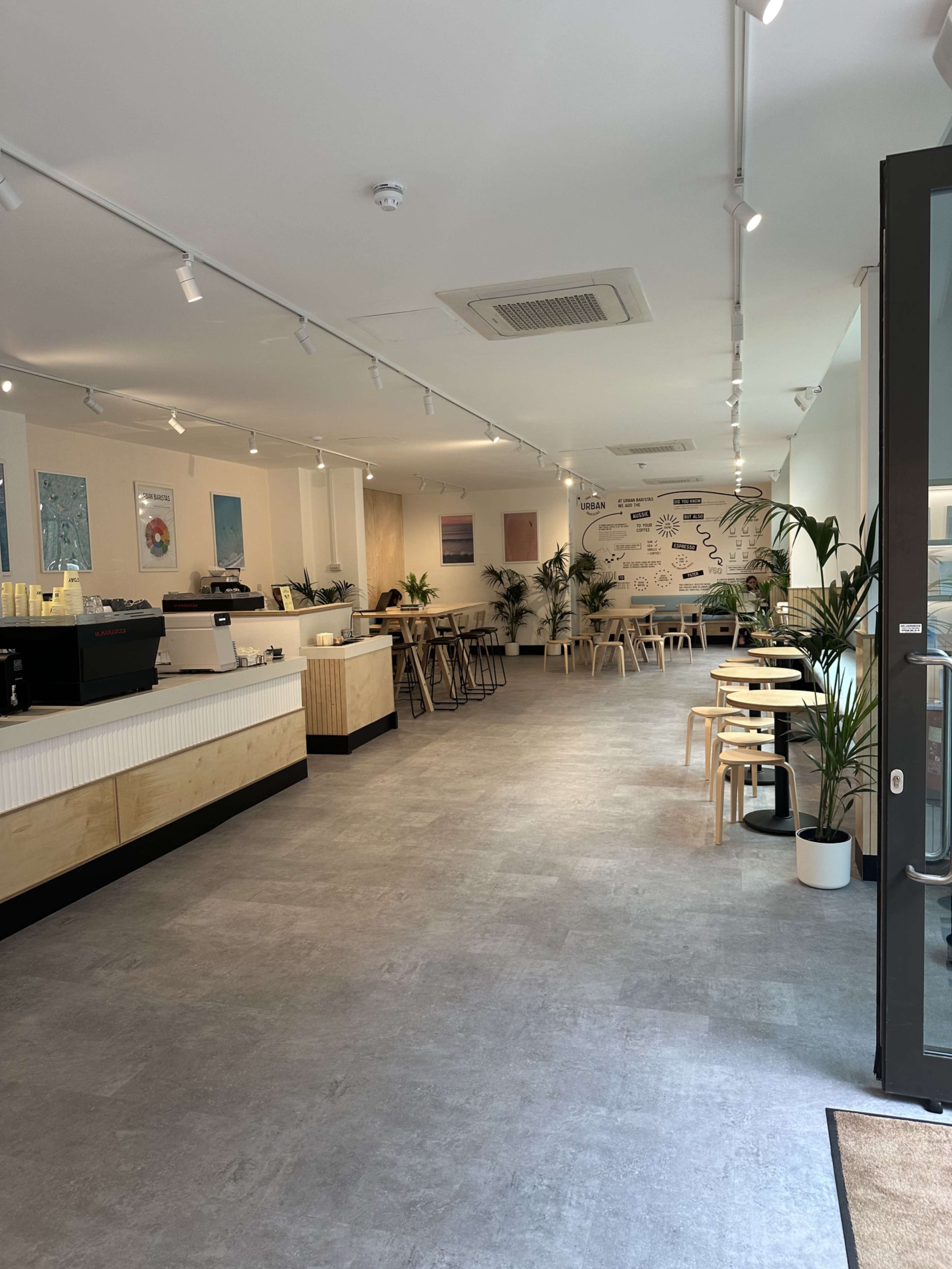 The image shows a modern, minimalistic café interior with light-colored walls, wooden seating, and potted plants, illuminated by natural light.