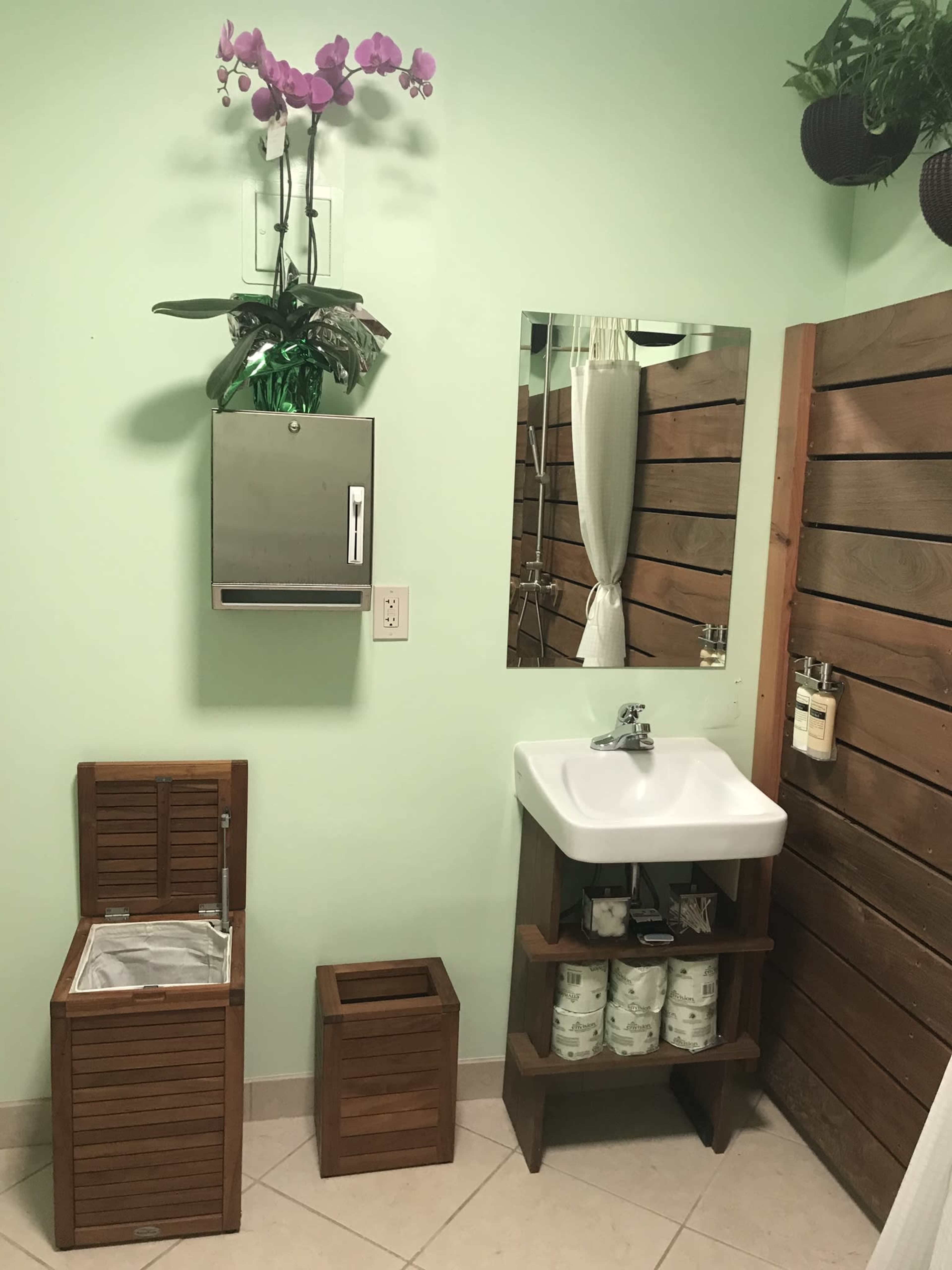 The image shows a bathroom interior with green walls, a wooden cabinet, a sink with a mirror, and an orchid plant on the wall.