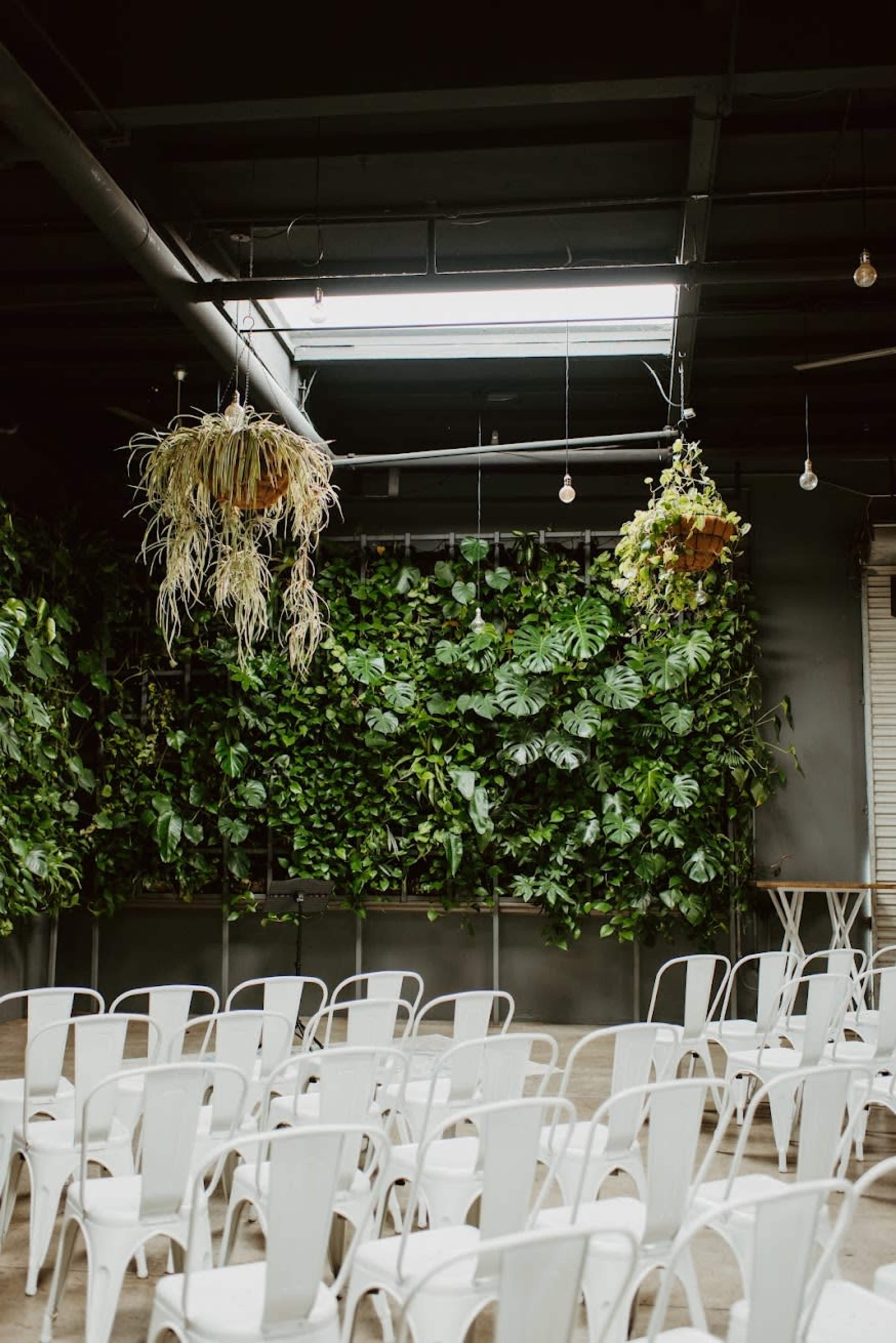 The image shows a modern indoor space with white chairs arranged in rows facing a wall adorned with various green plants and hanging planters.
