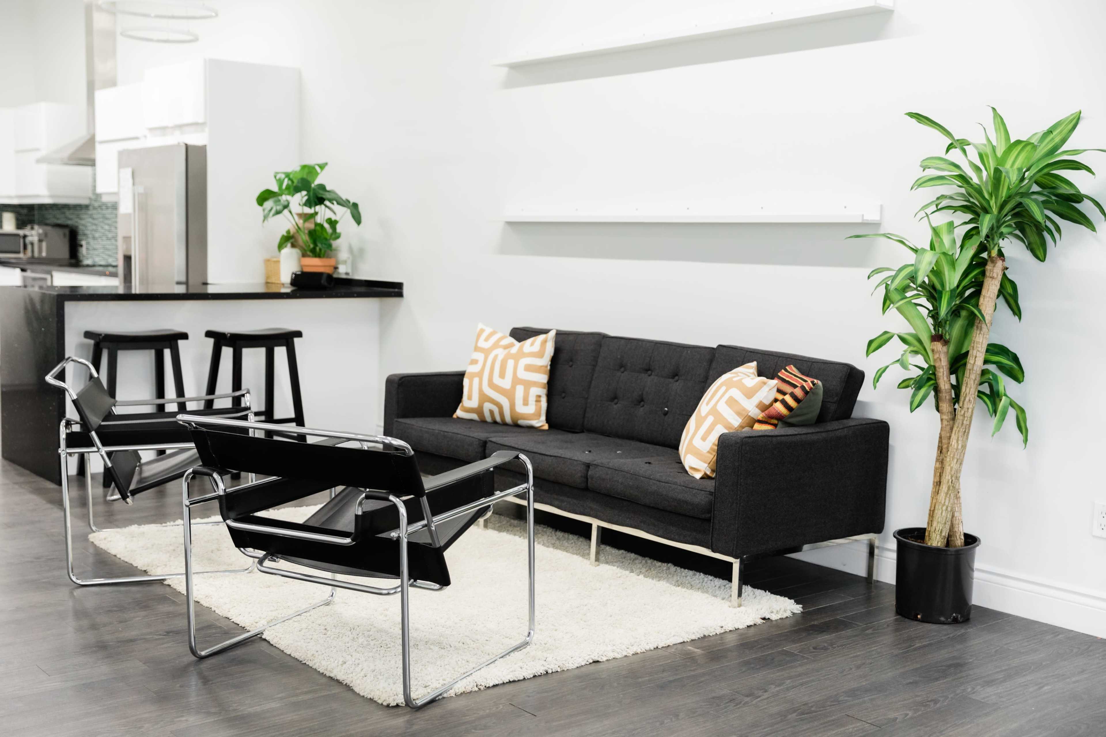 A modern living area features a black sofa with patterned cushions, two black chairs, a white rug, and a potted plant against a light wall.