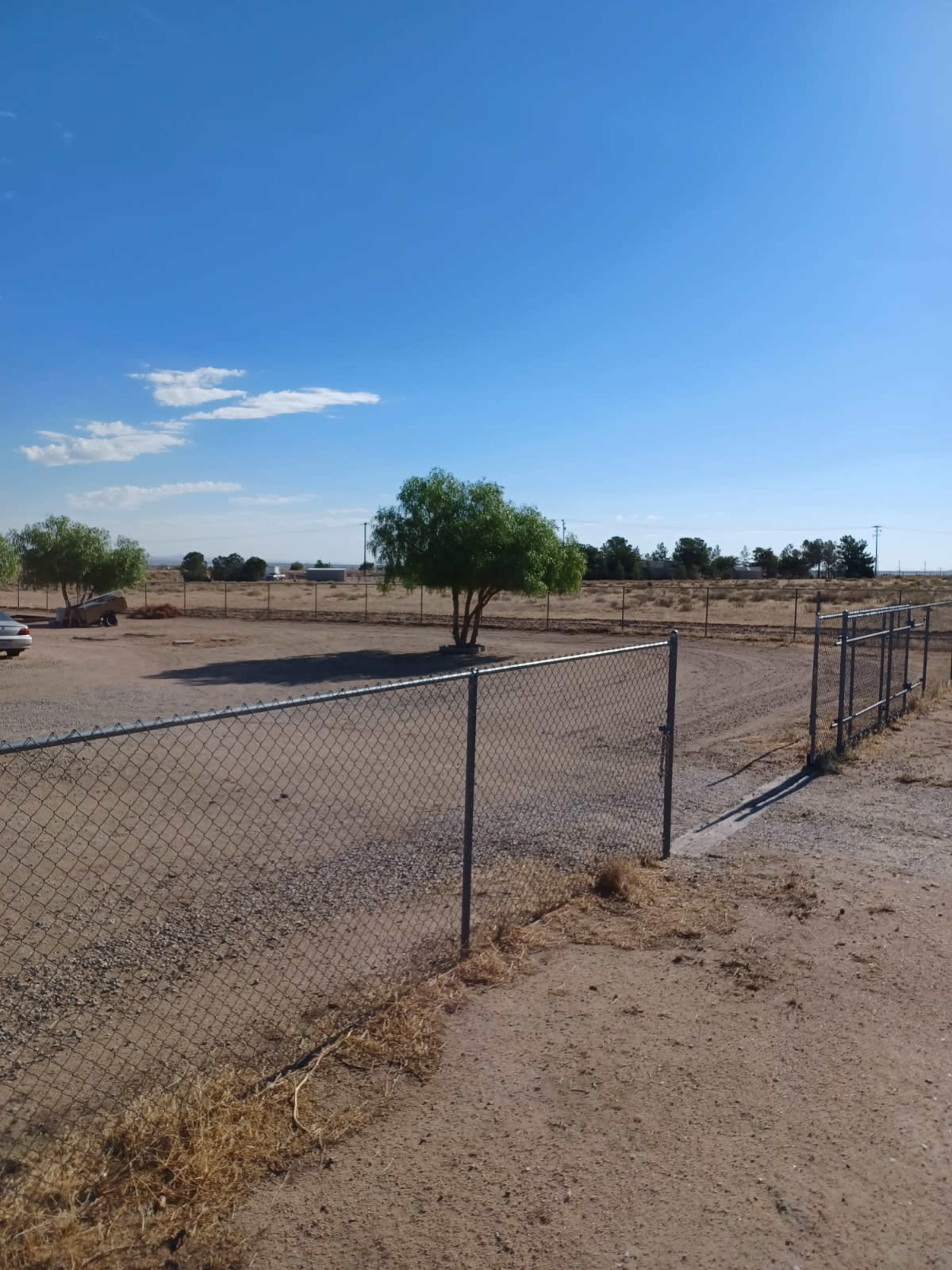 A fenced area with a solitary tree and a gravel ground under a clear blue sky.